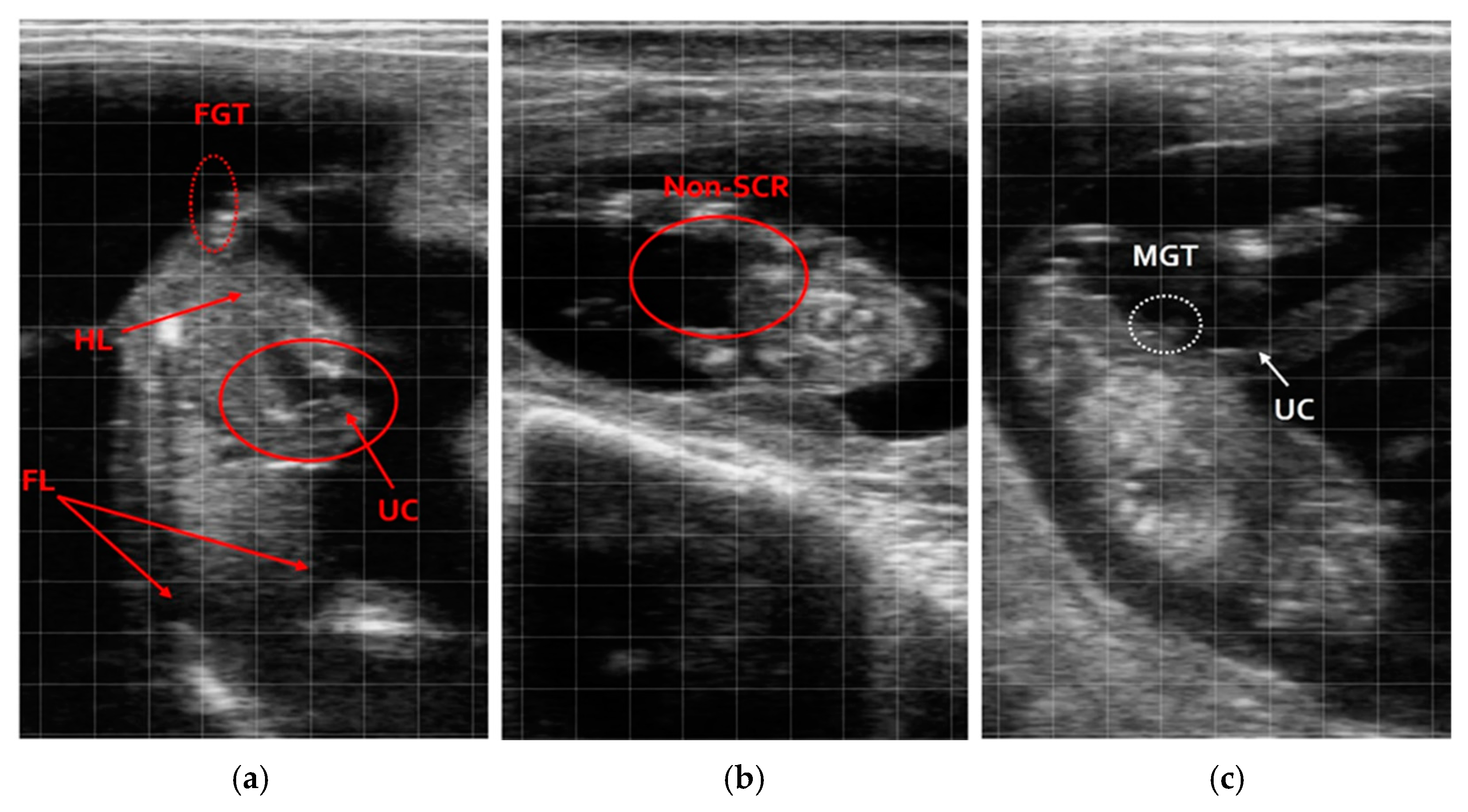 Vetsci 12 00201 g003