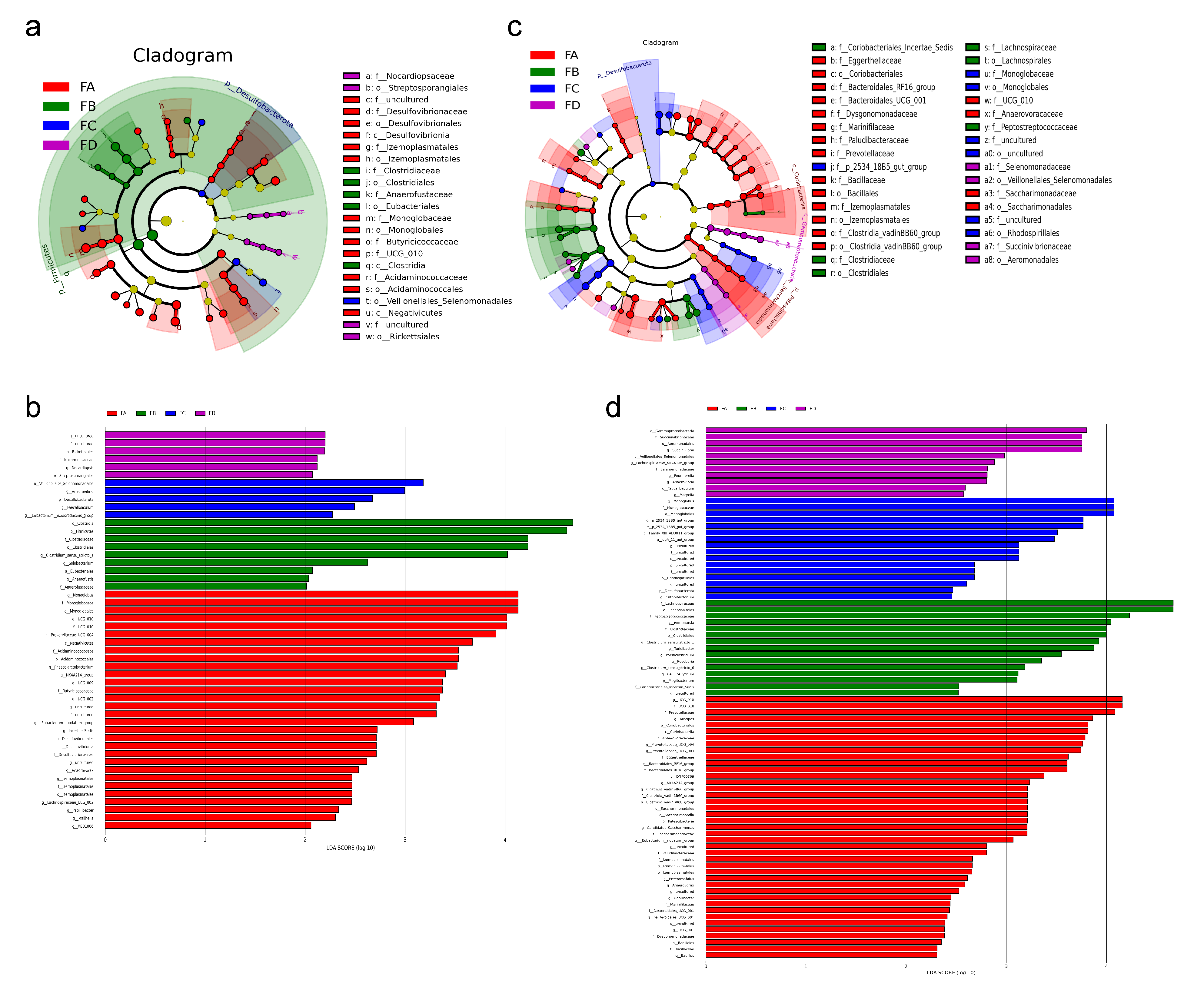 Vetsci 12 00208 g009