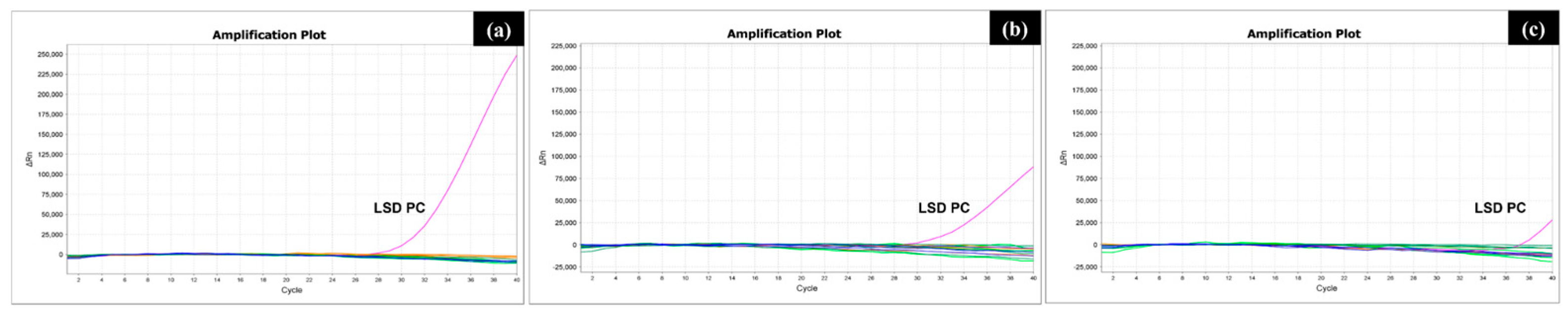 Vetsci 12 00213 g003 Vetsci 12 00213 g003