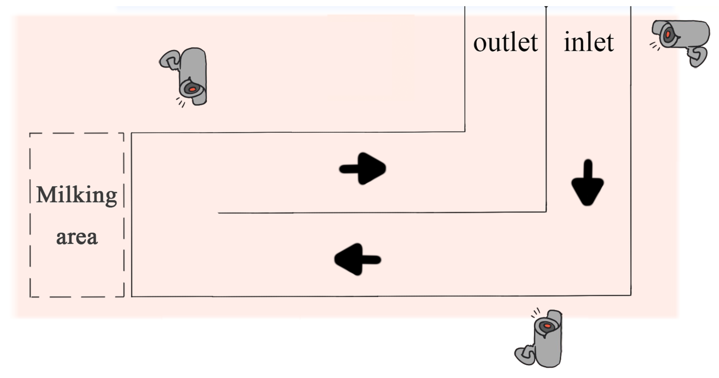 Vetsci 12 00218 g001