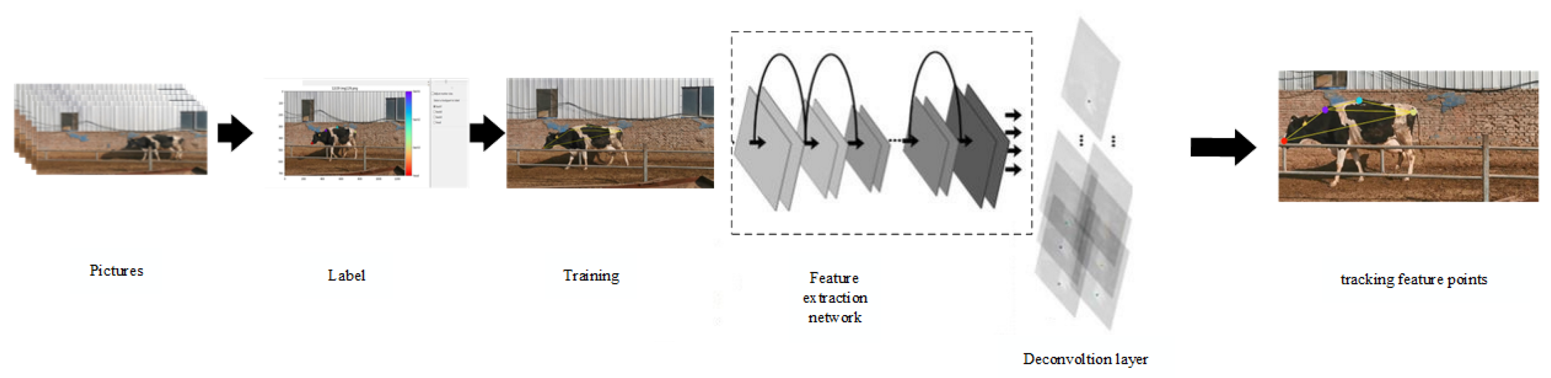 Vetsci 12 00218 g004