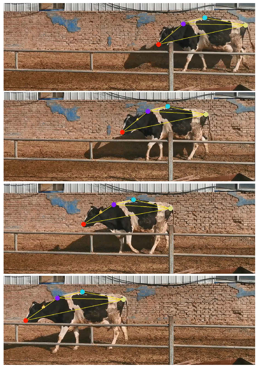 Vetsci 12 00218 g007