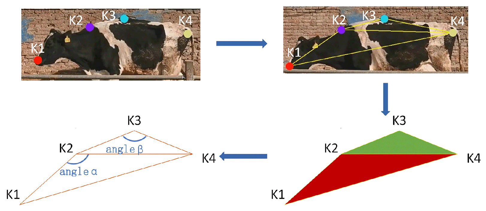 Vetsci 12 00218 g009