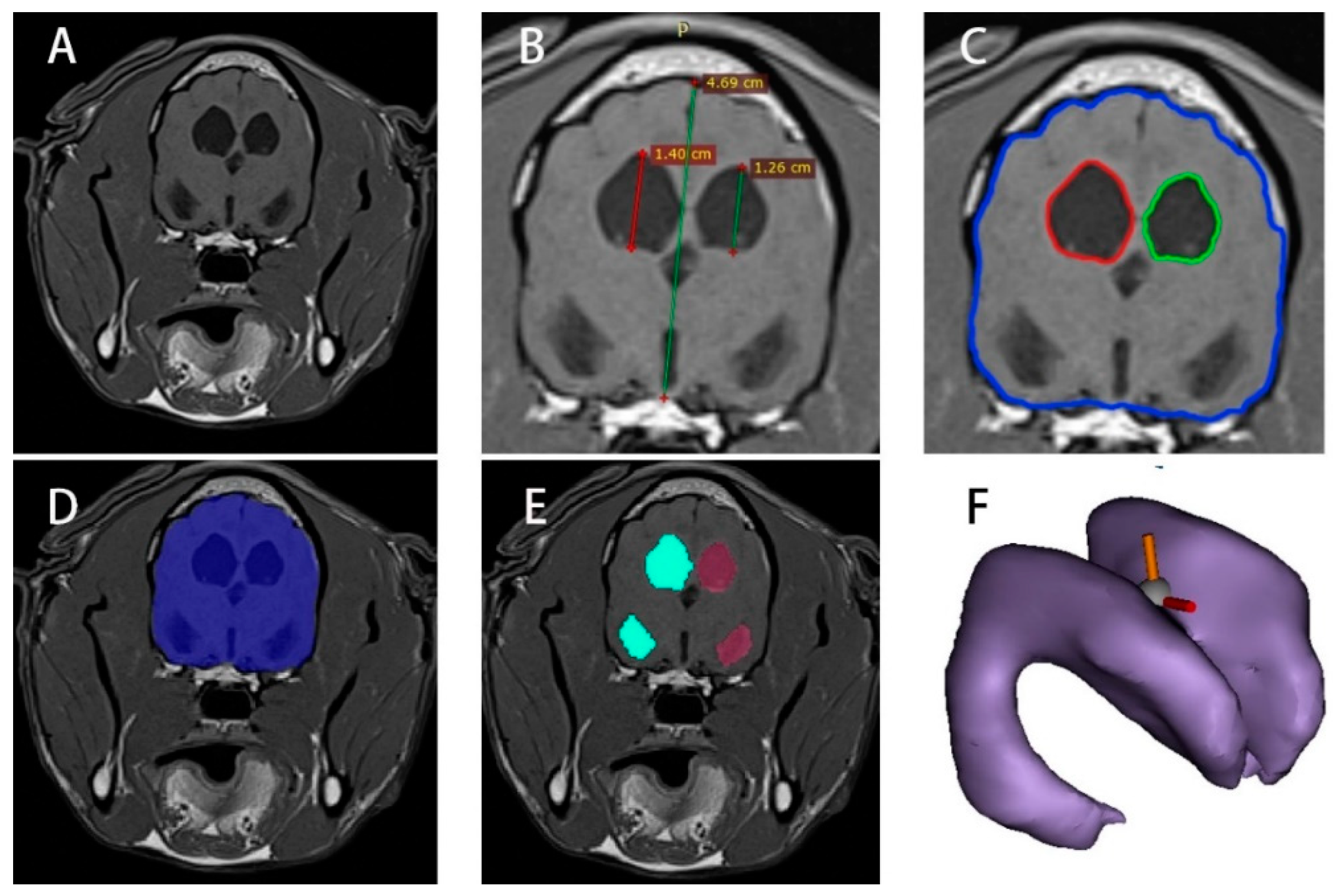 Vetsci 12 00221 g001
