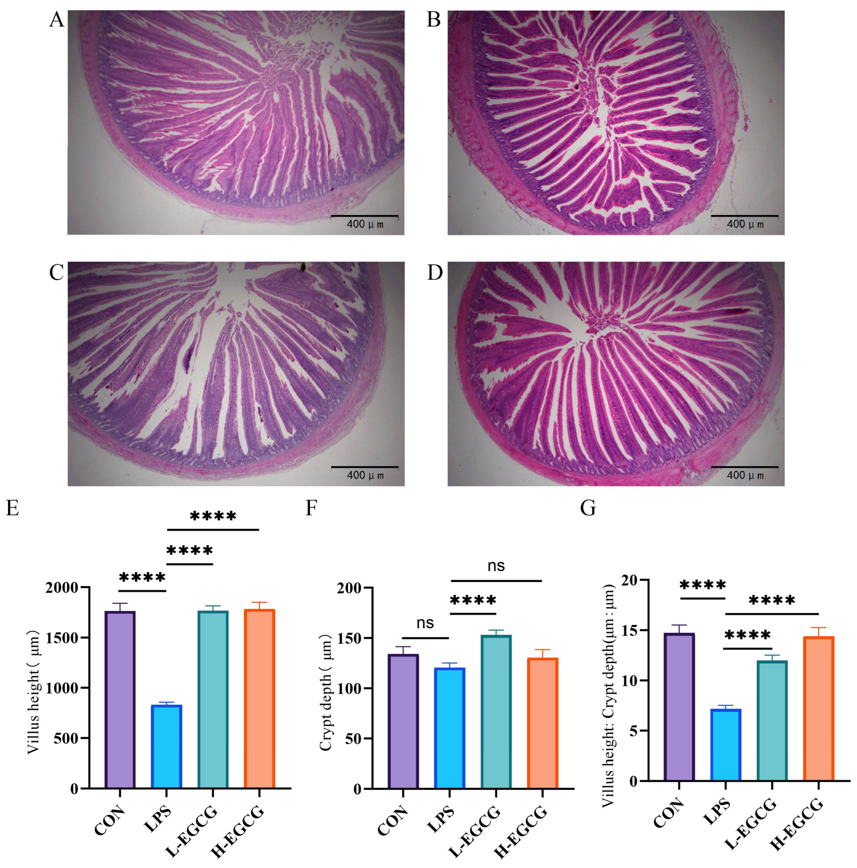 Vetsci 12 00225 g002
