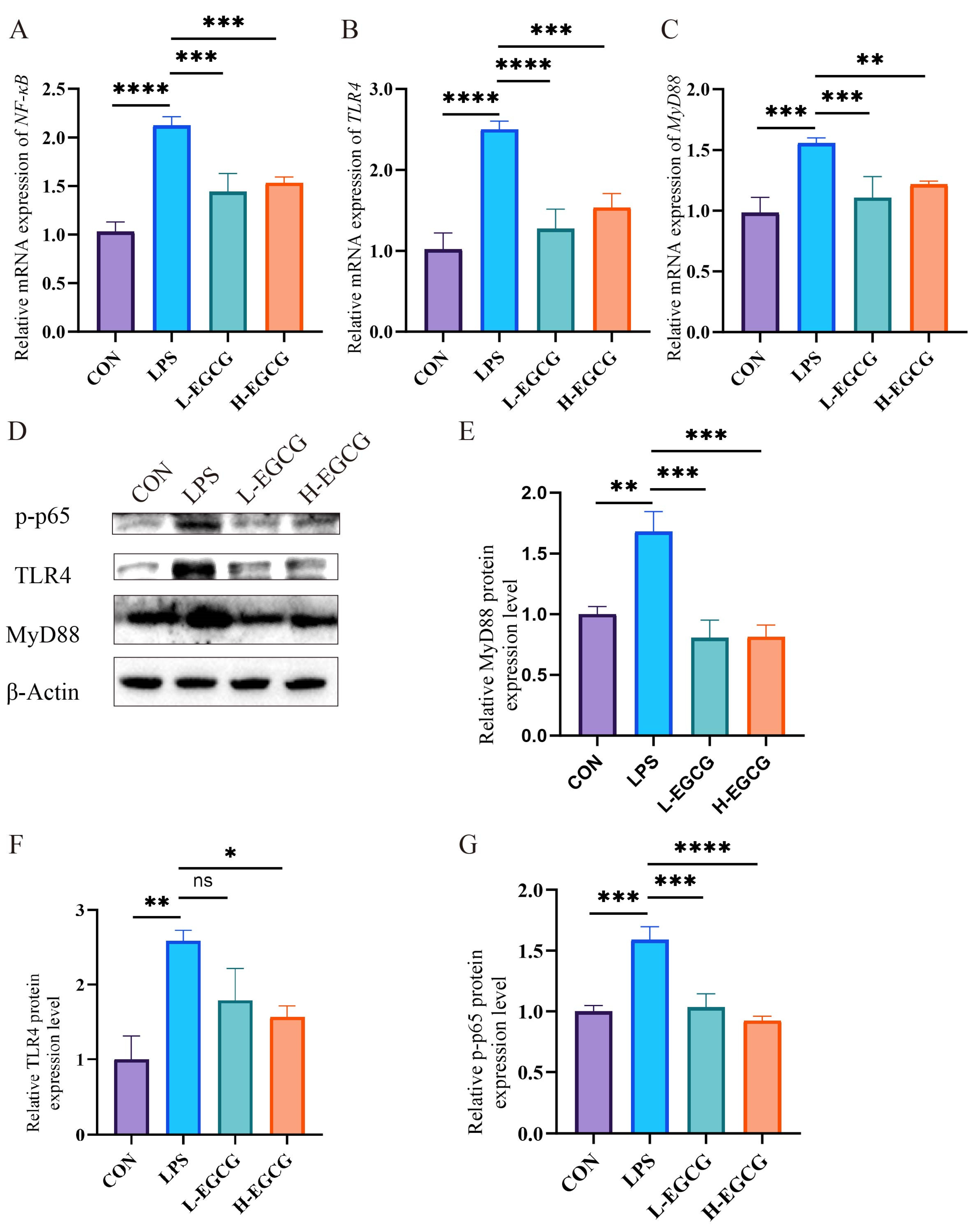 Vetsci 12 00225 g004