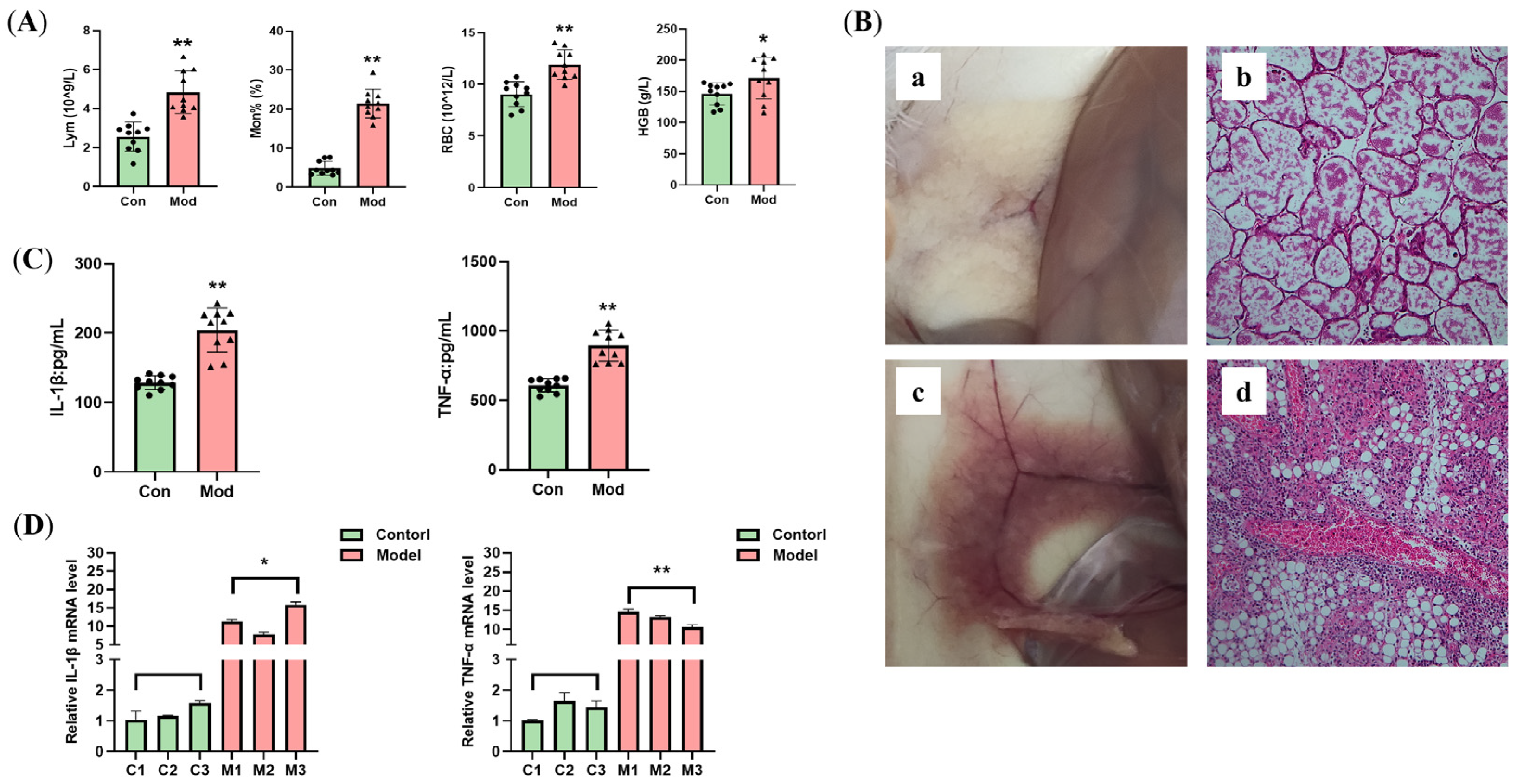 Vetsci 12 00227 g005
