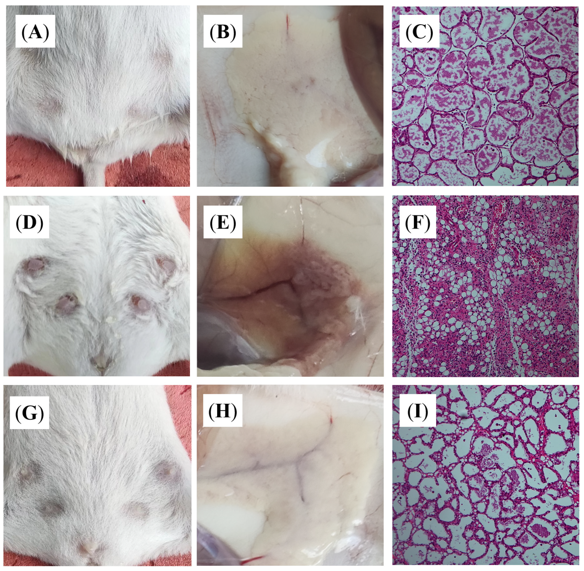 Vetsci 12 00227 g008