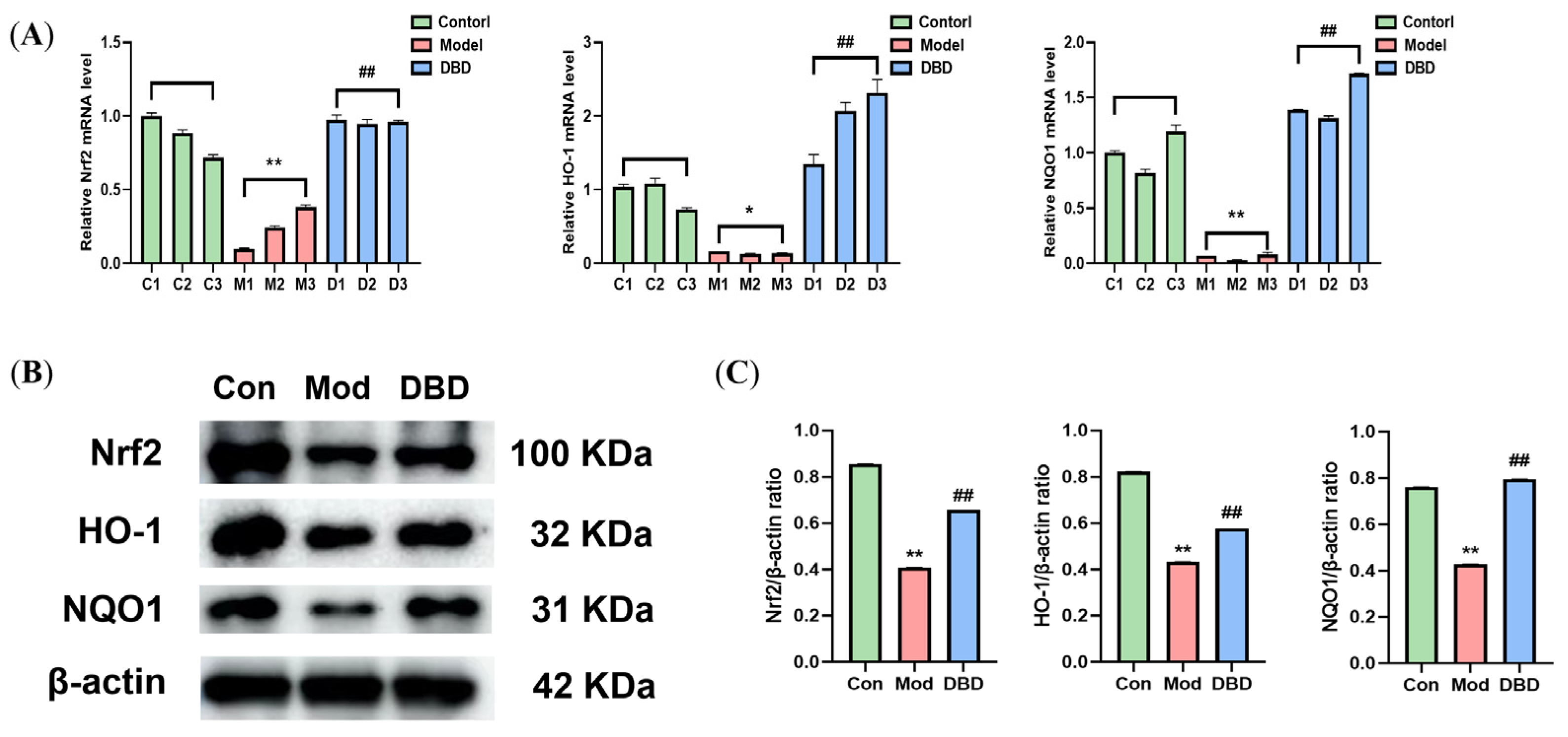Vetsci 12 00227 g013