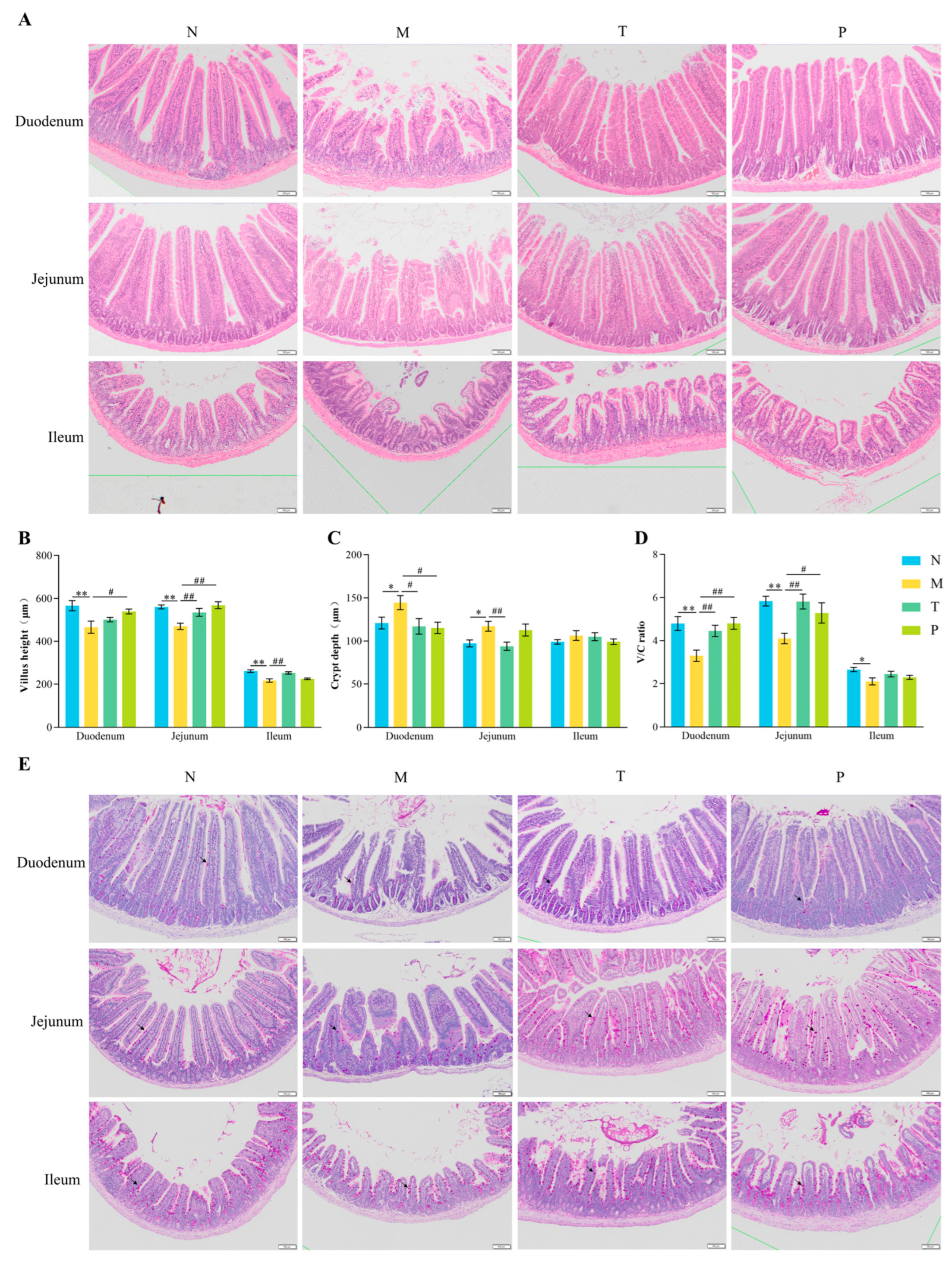 Vetsci 12 00229 g002