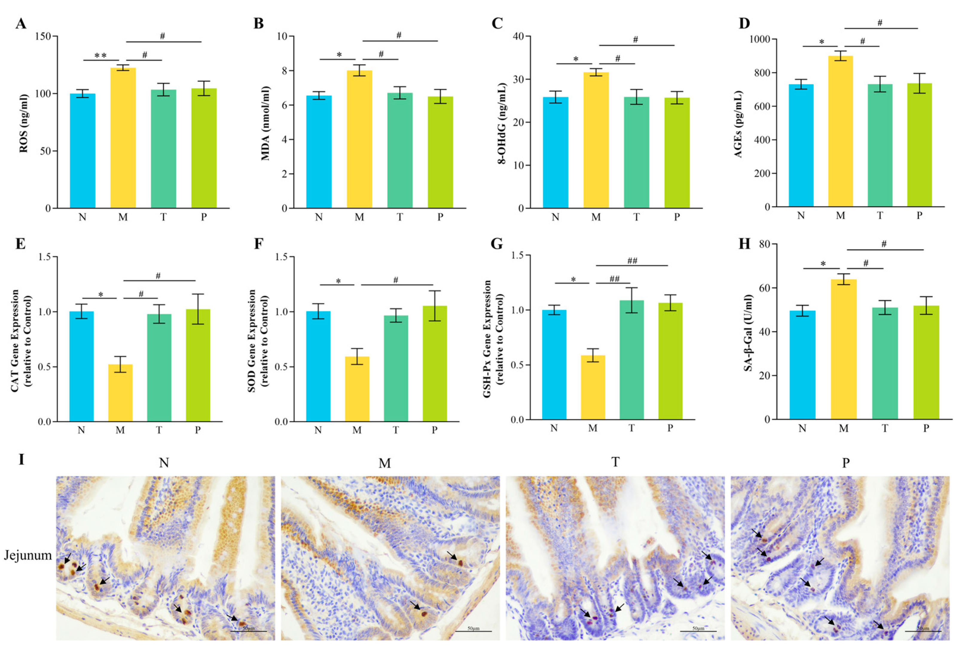 Vetsci 12 00229 g006