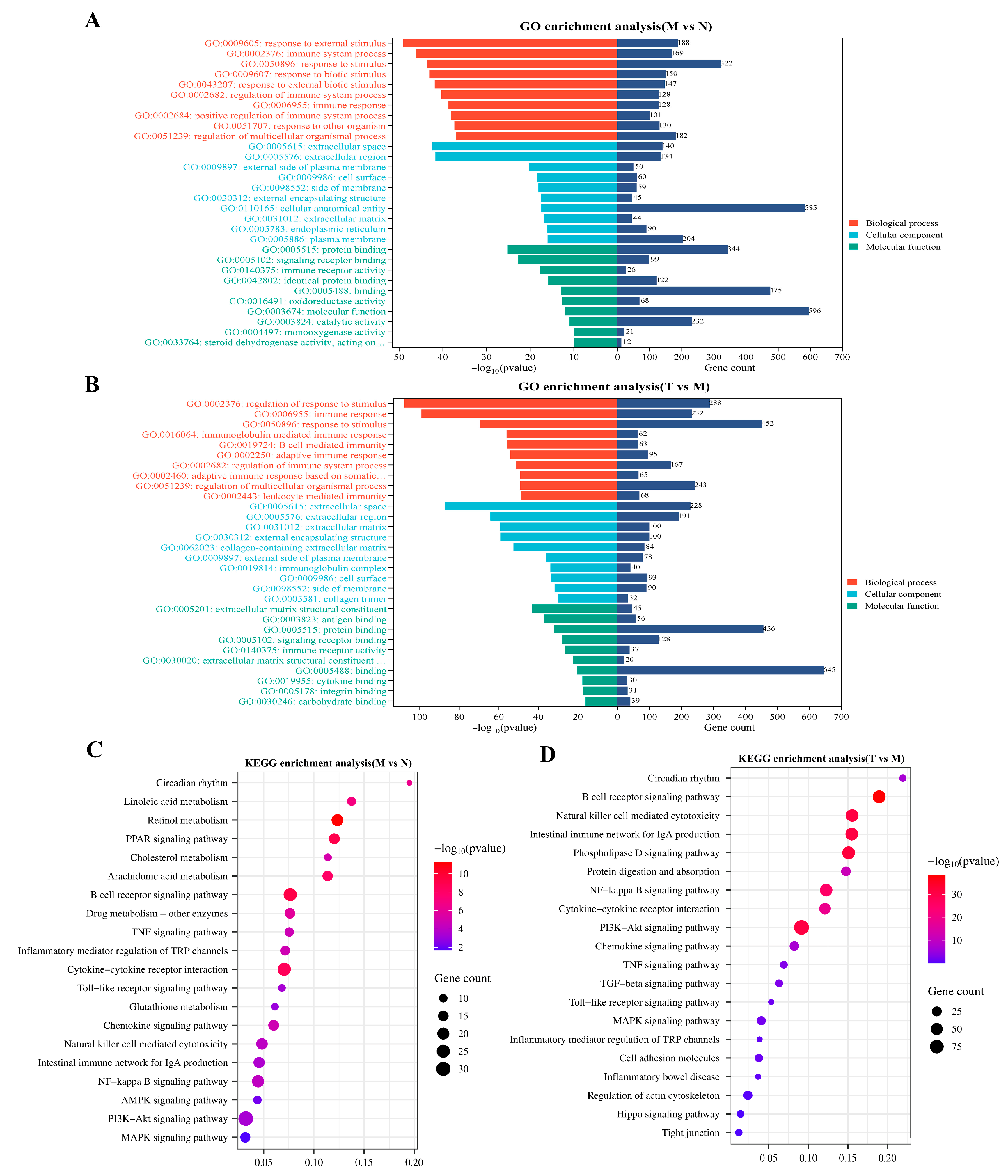 Vetsci 12 00229 g009