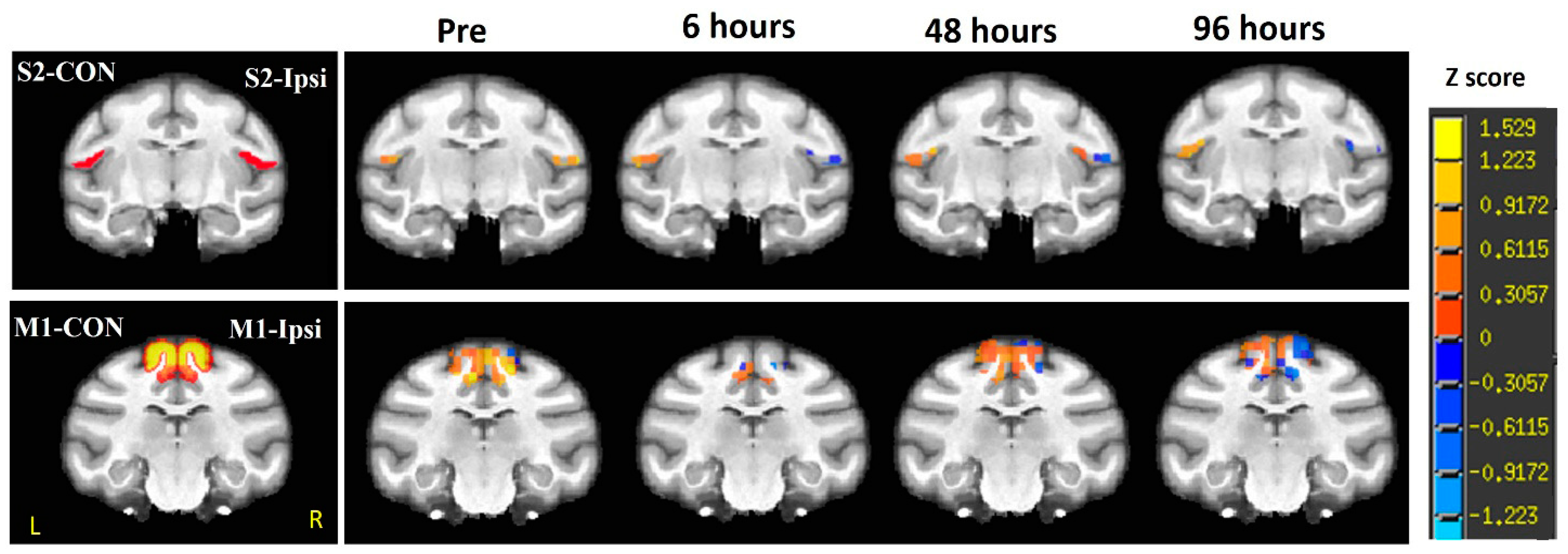 Vetsci 12 00231 g003