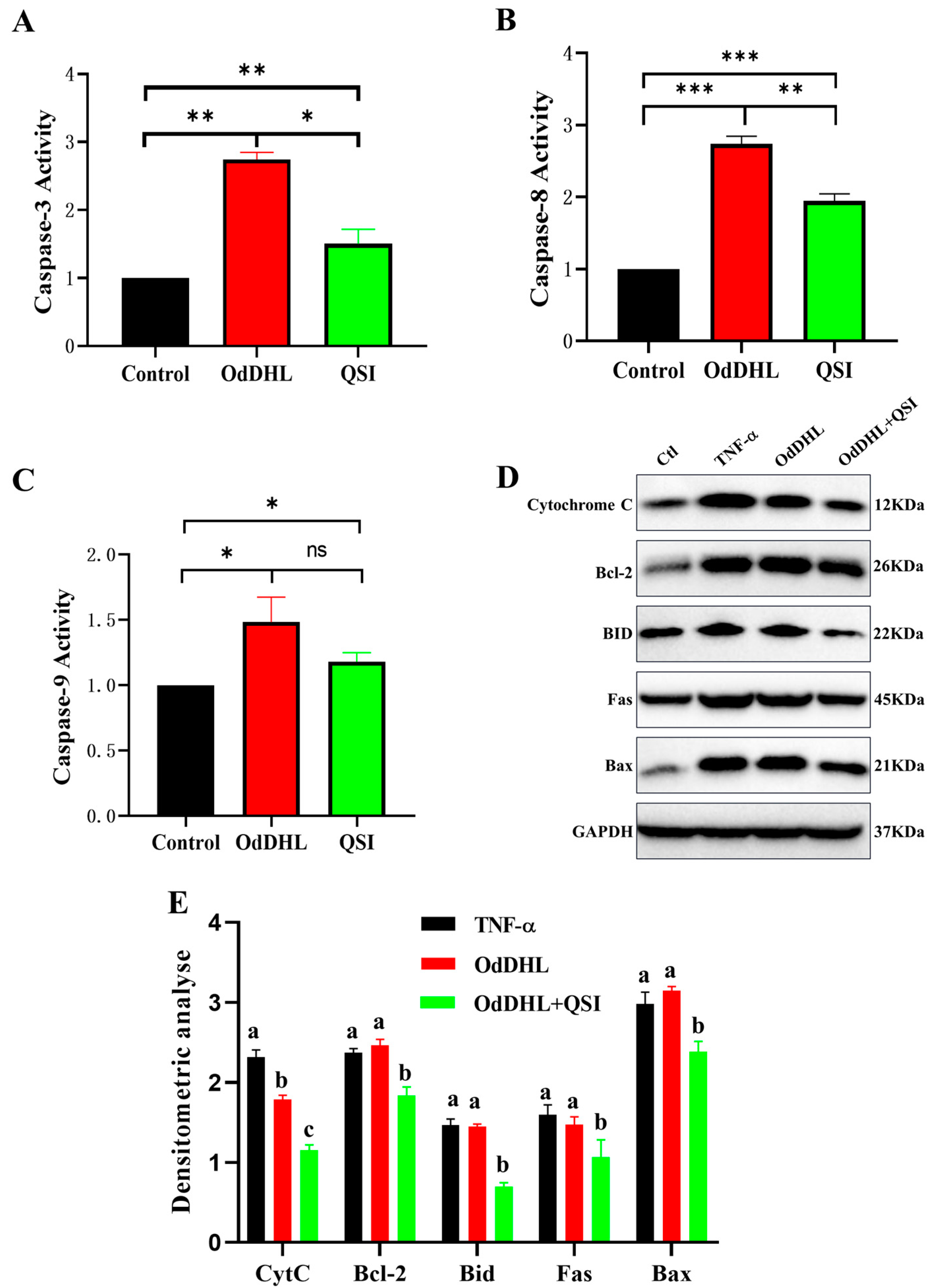 Vetsci 12 00233 g004