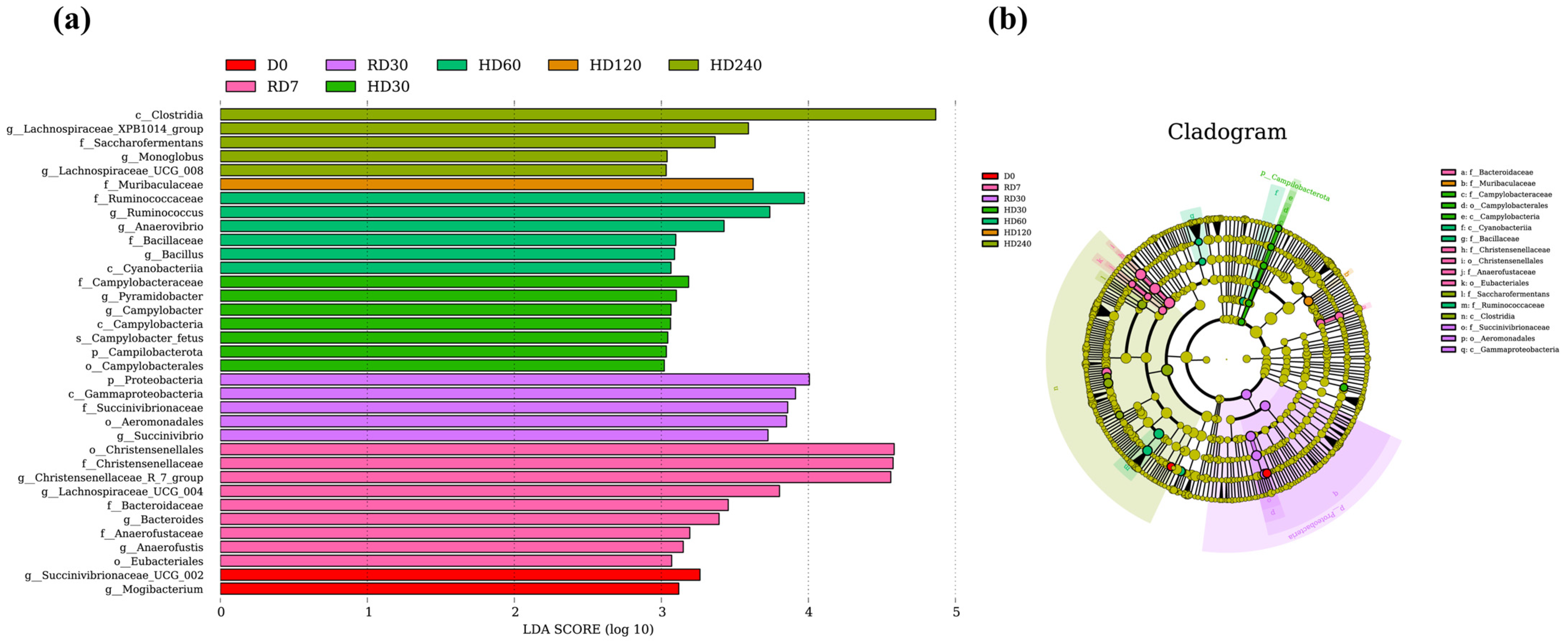 Vetsci 12 00234 g002