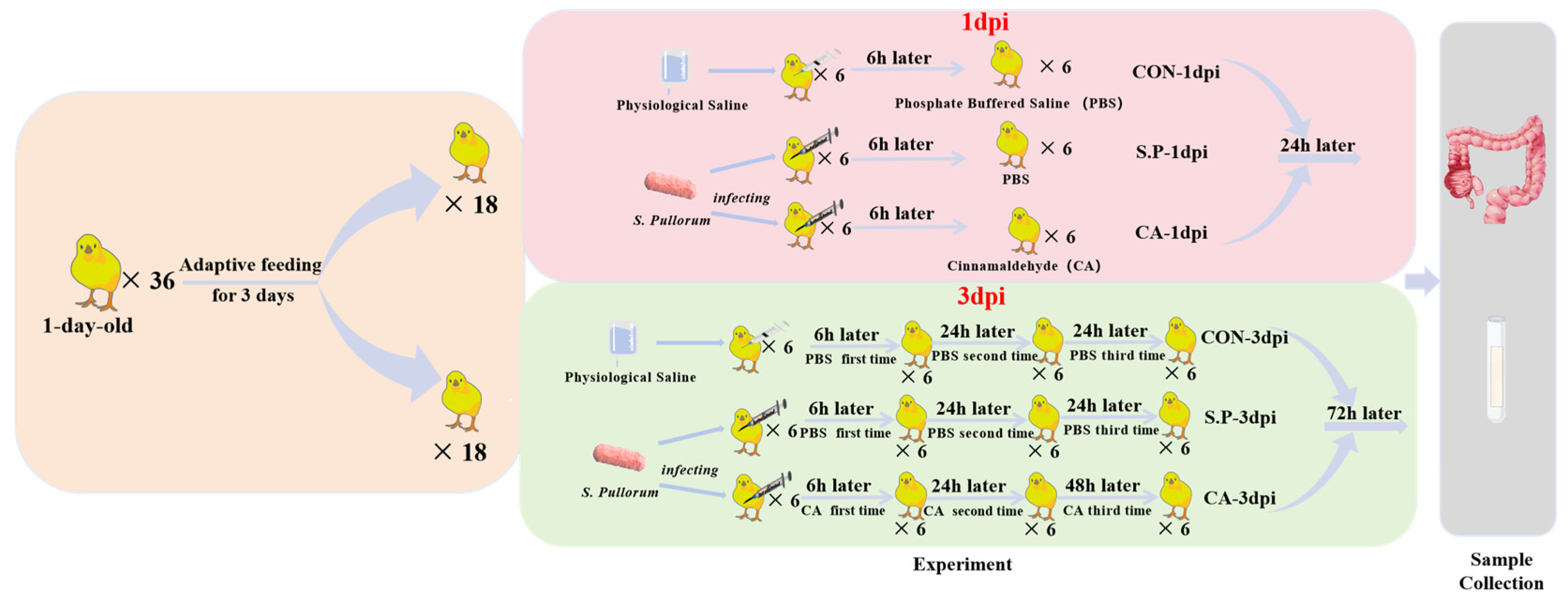 Vetsci 12 00237 g001