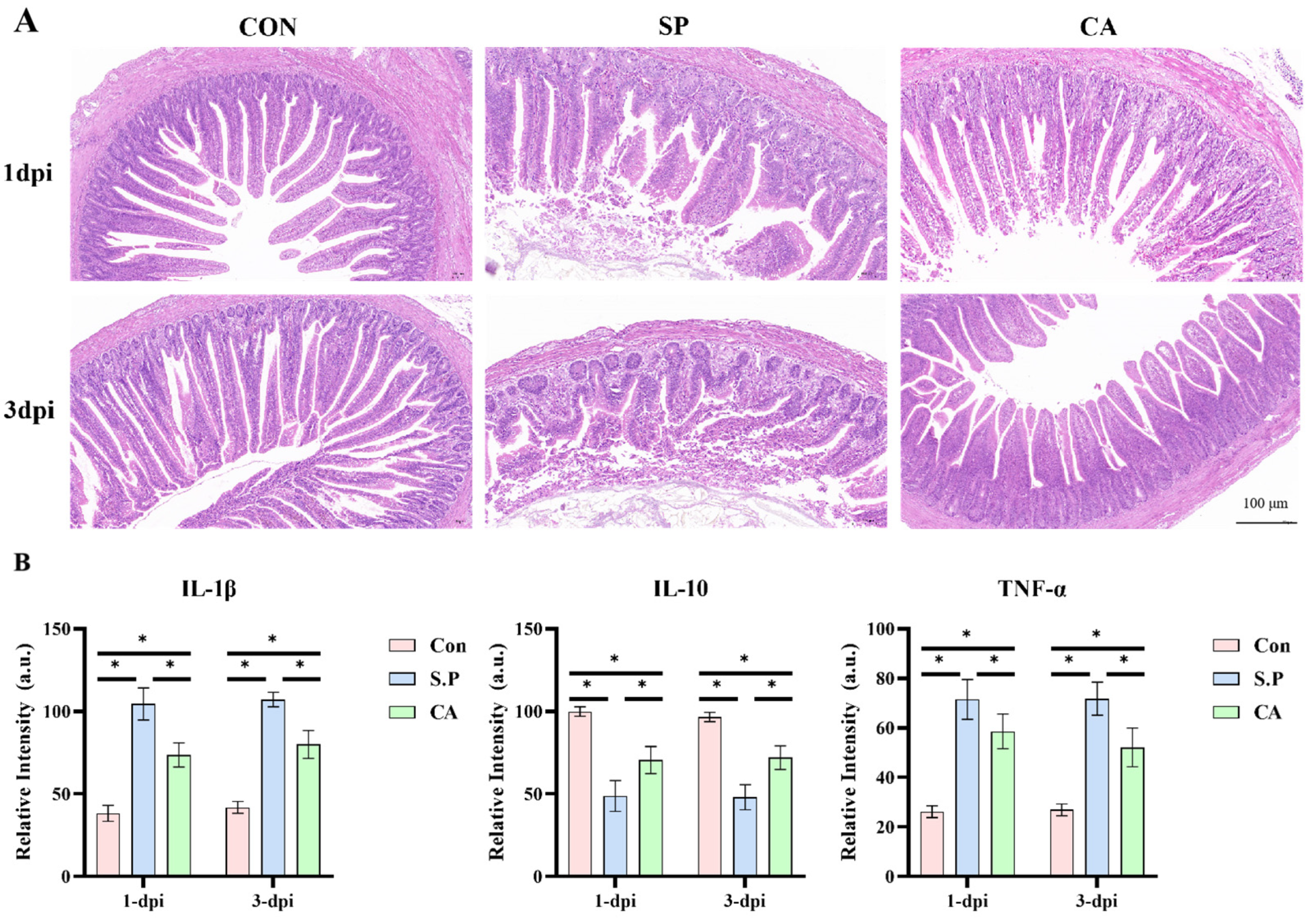 Vetsci 12 00237 g002