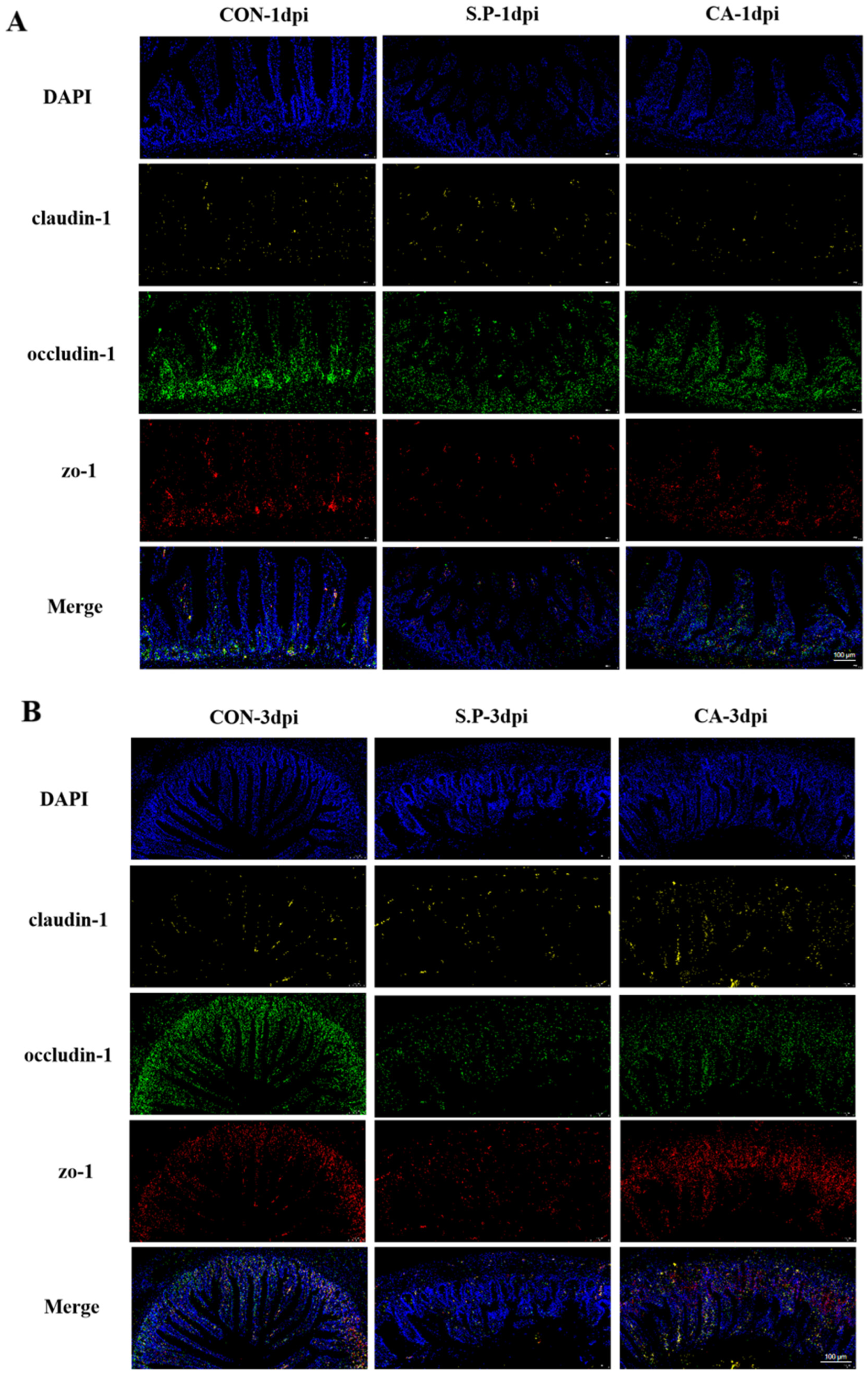 Vetsci 12 00237 g003a