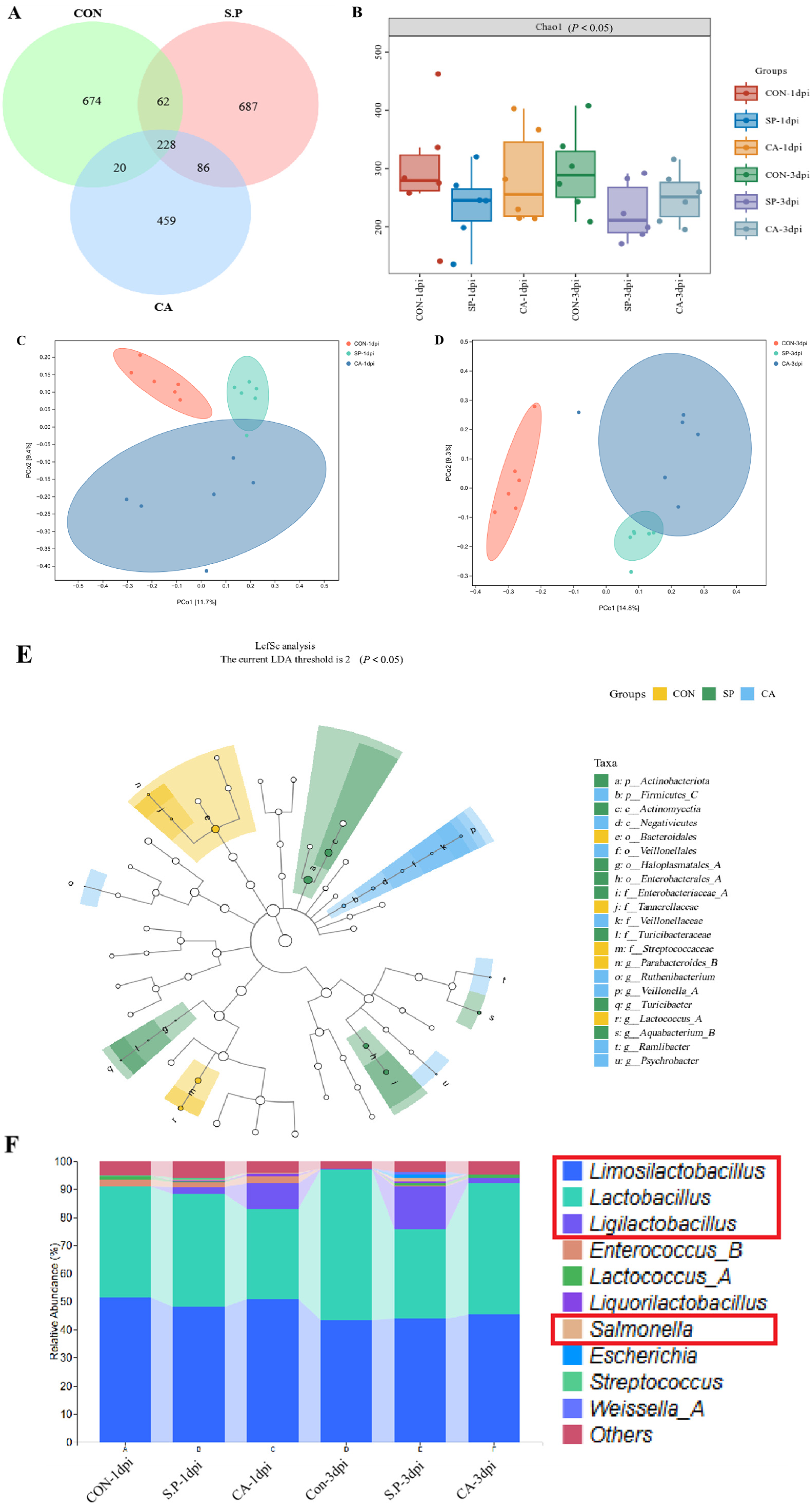 Vetsci 12 00237 g004