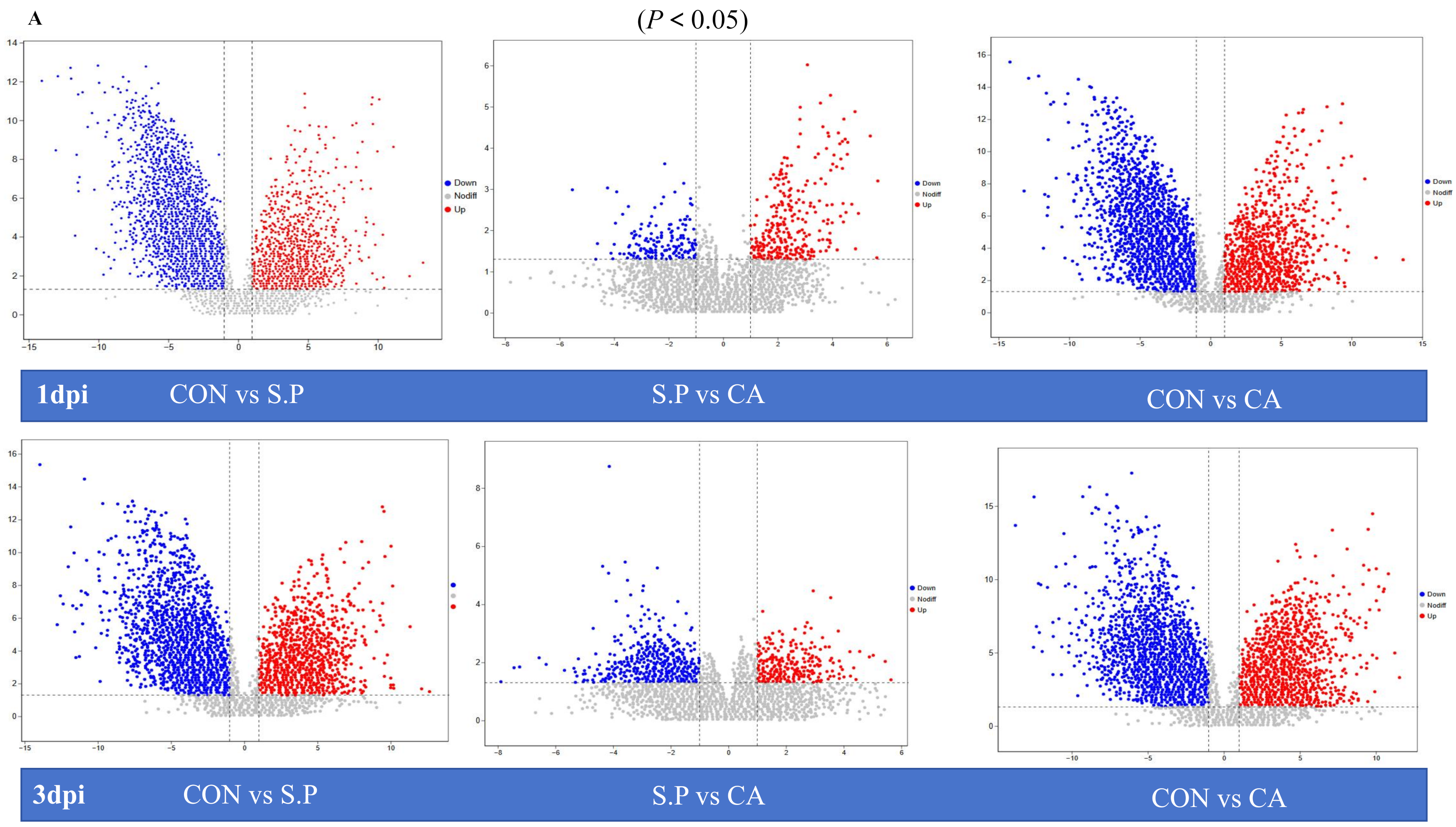 Vetsci 12 00237 g005a