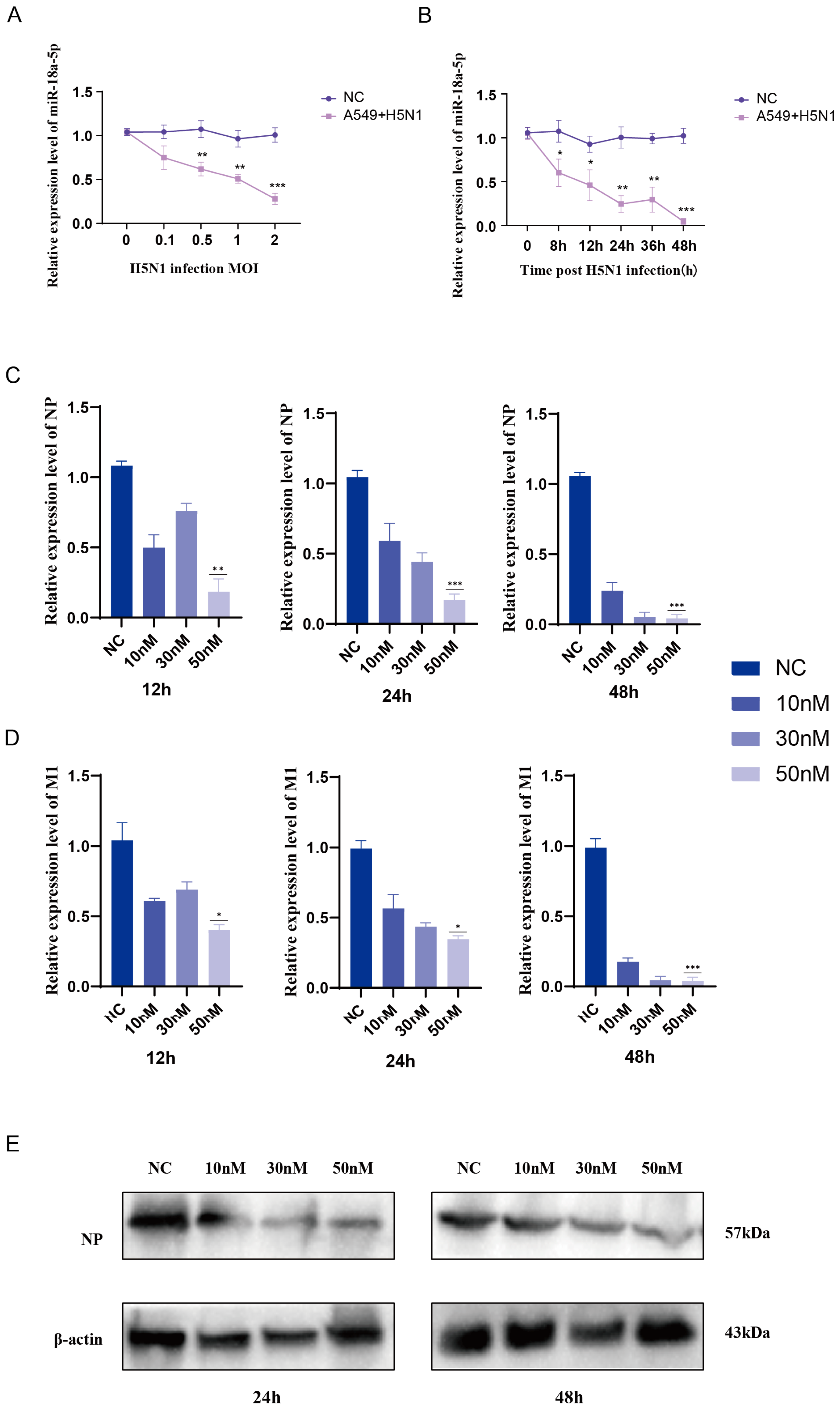 Vetsci 12 00240 g001