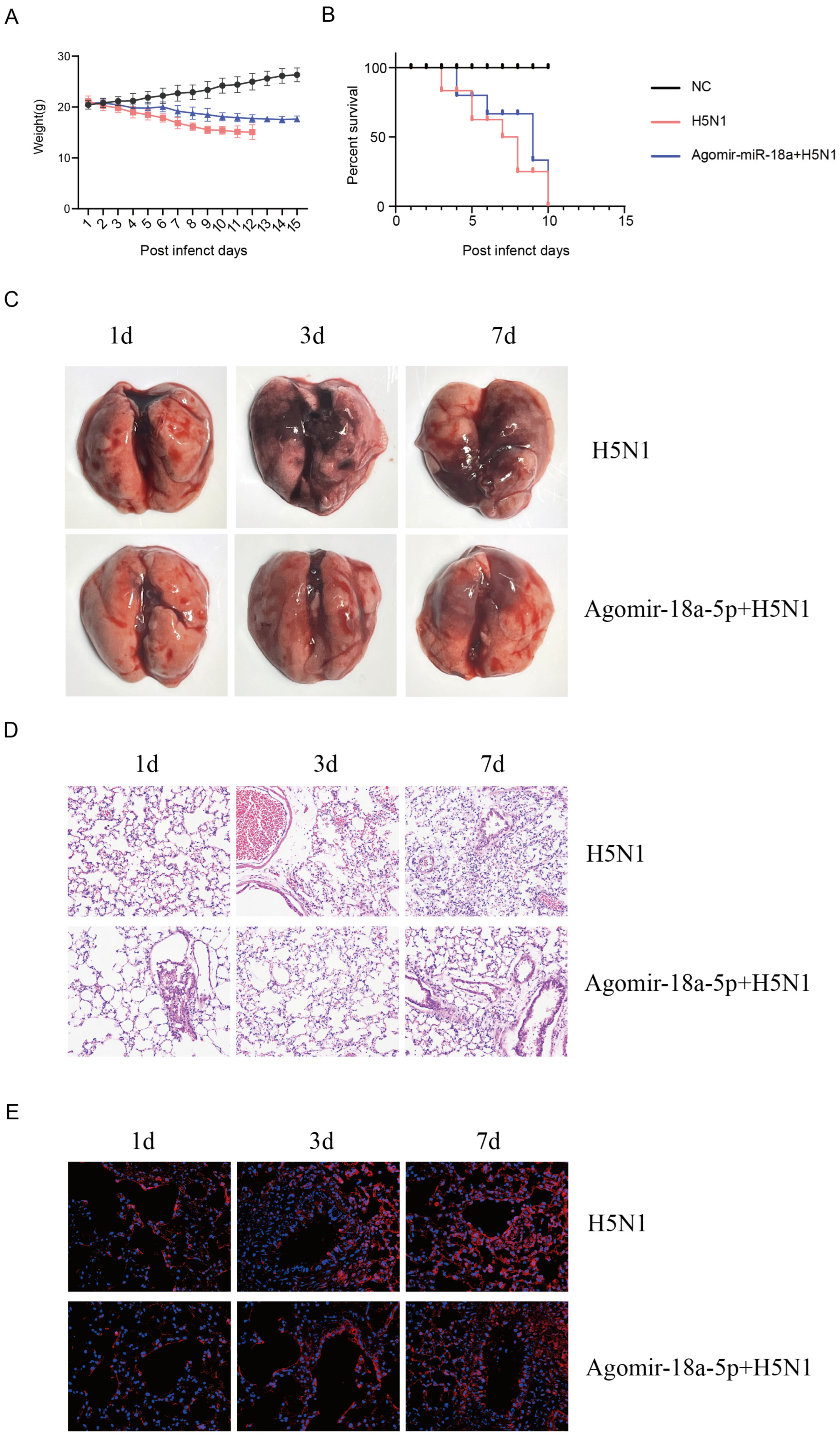 Vetsci 12 00240 g003