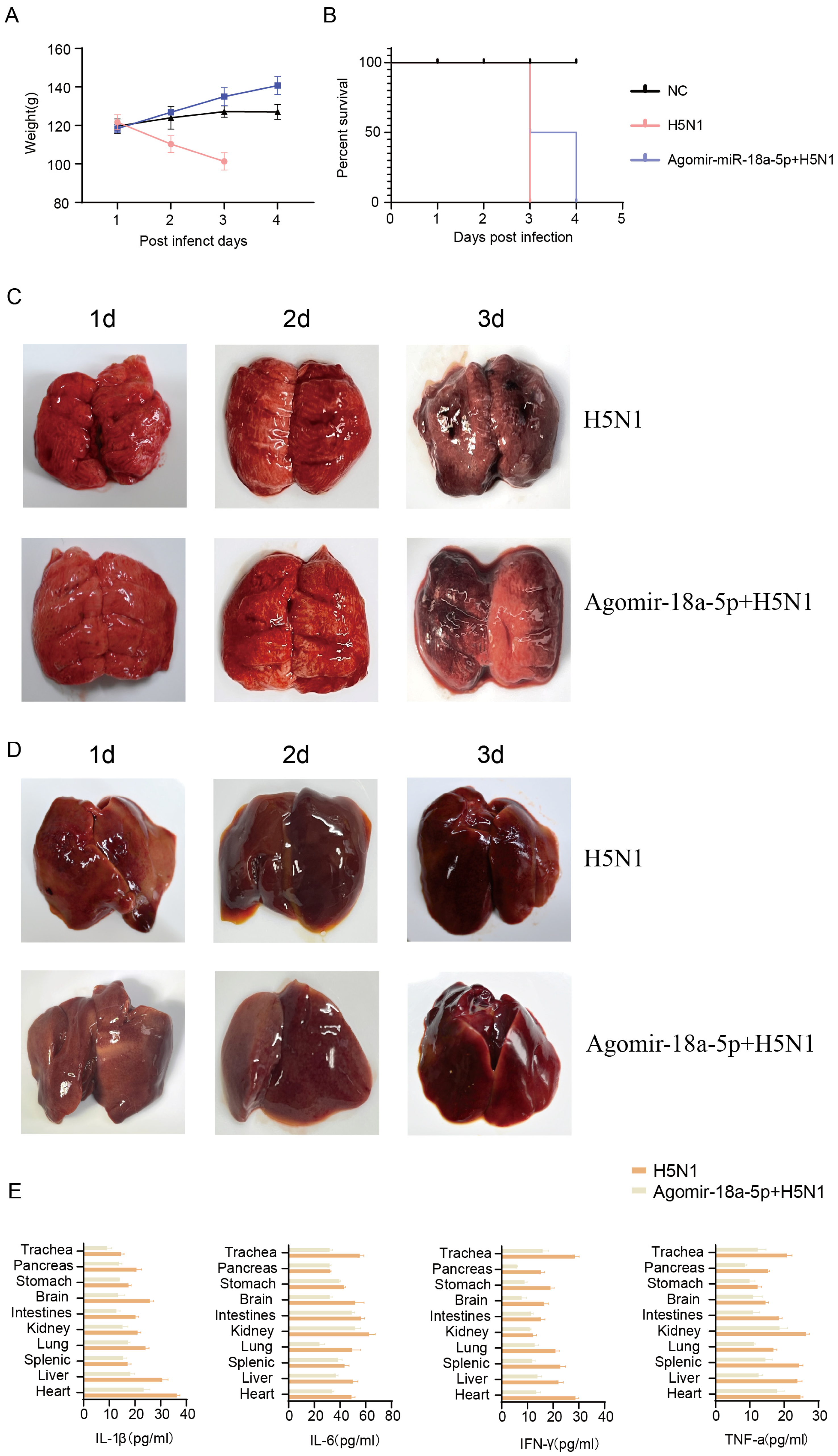 Vetsci 12 00240 g004
