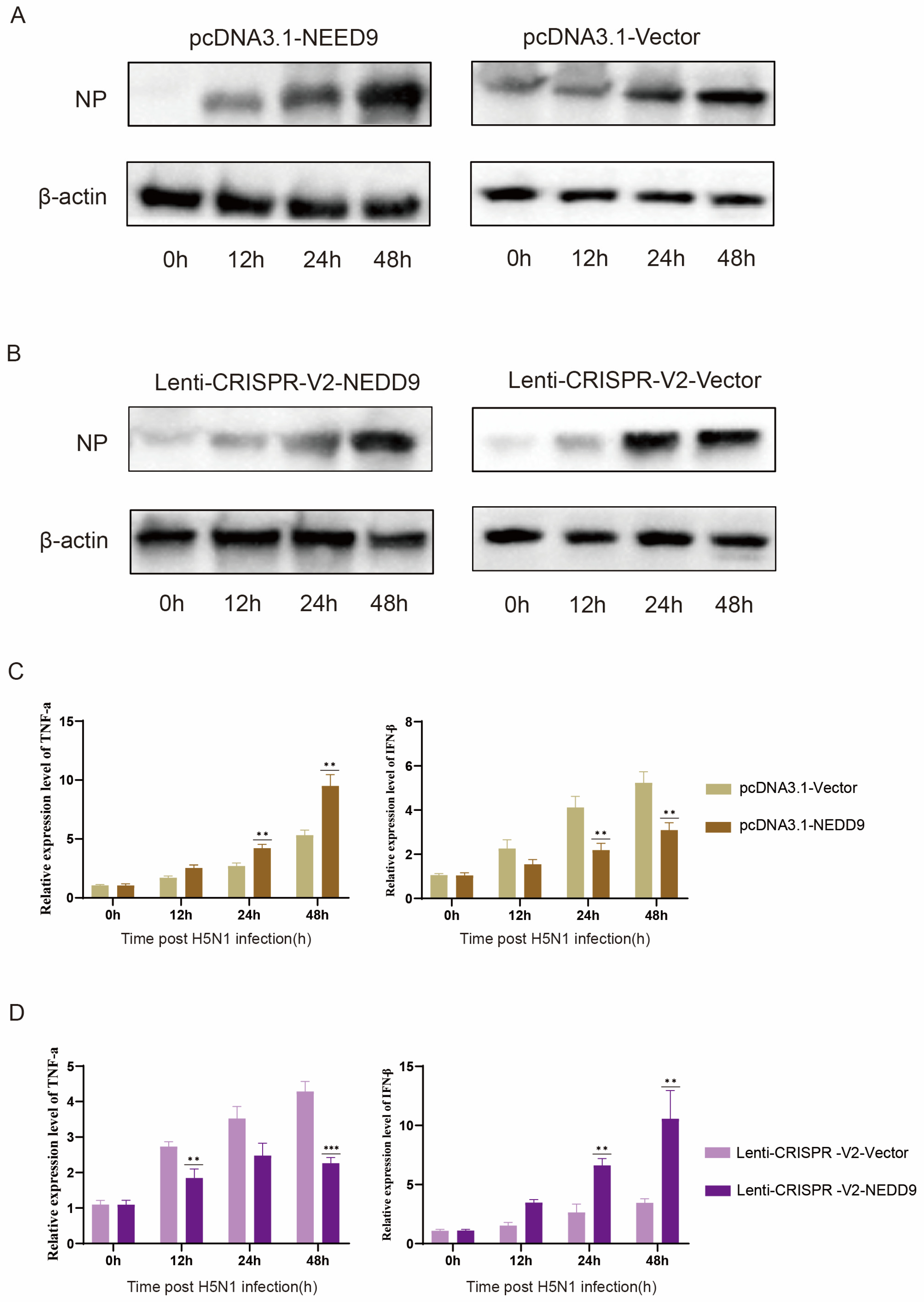 Vetsci 12 00240 g006