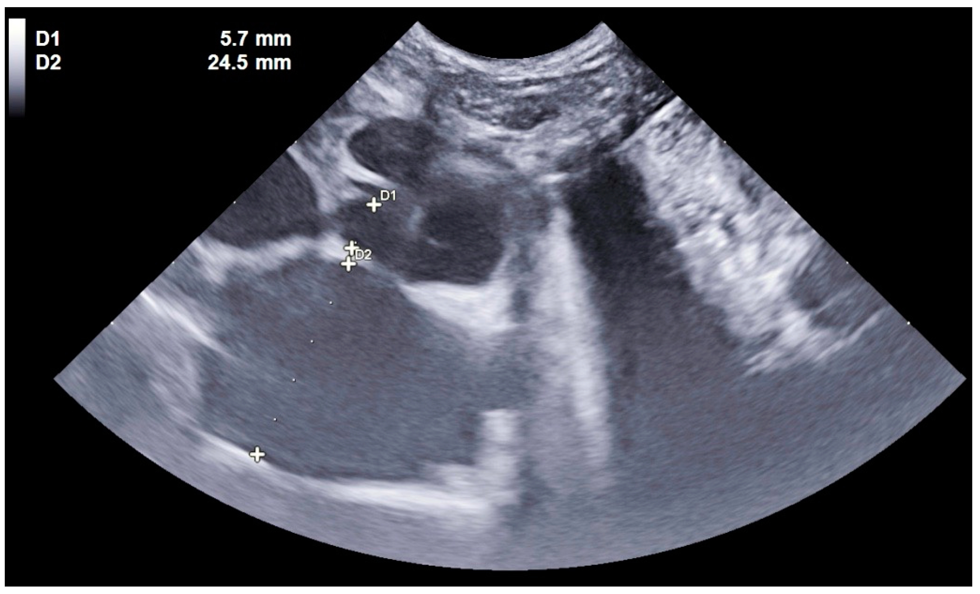 Vetsci 12 00242 g002