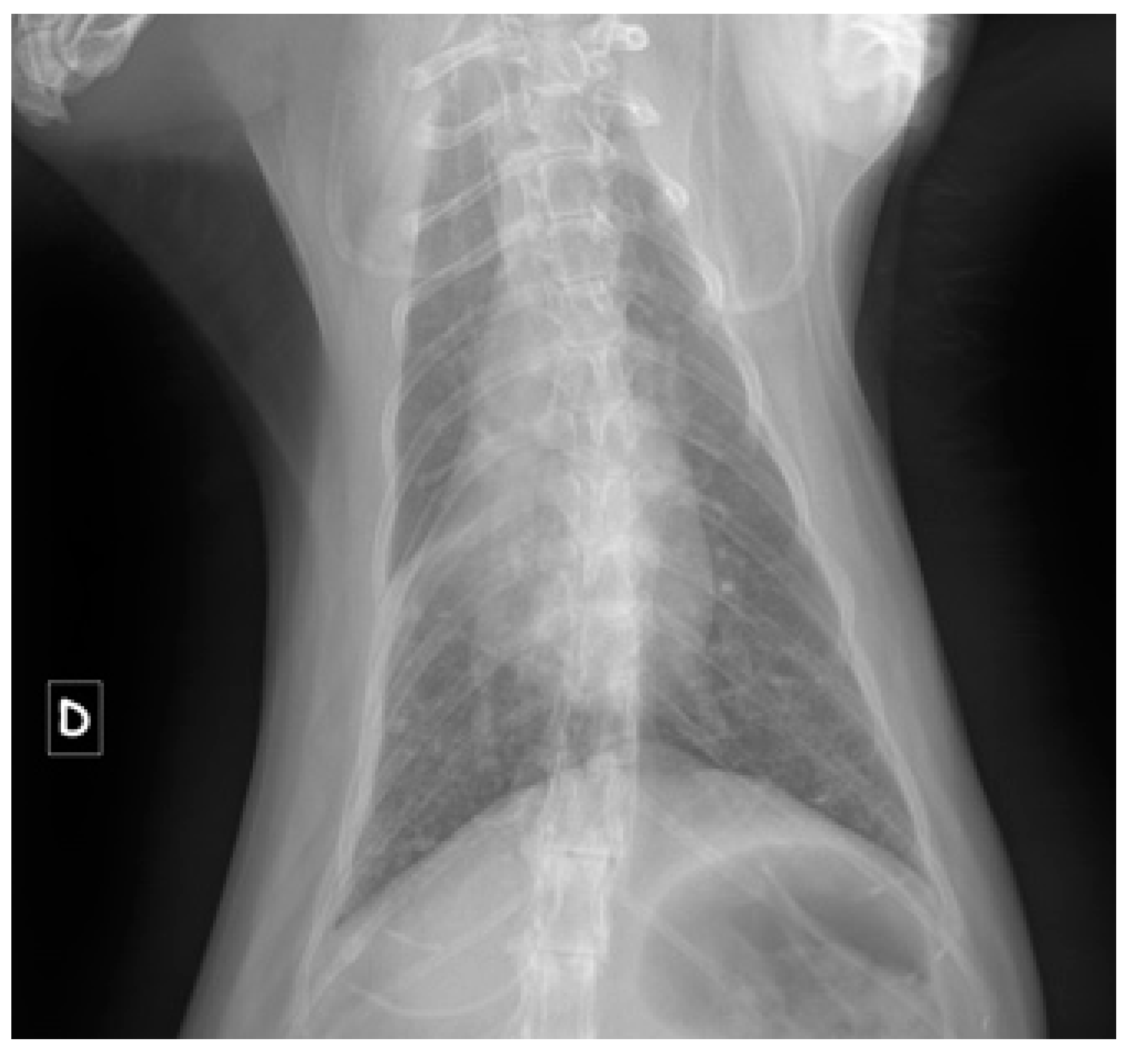 Vetsci 12 00242 g003