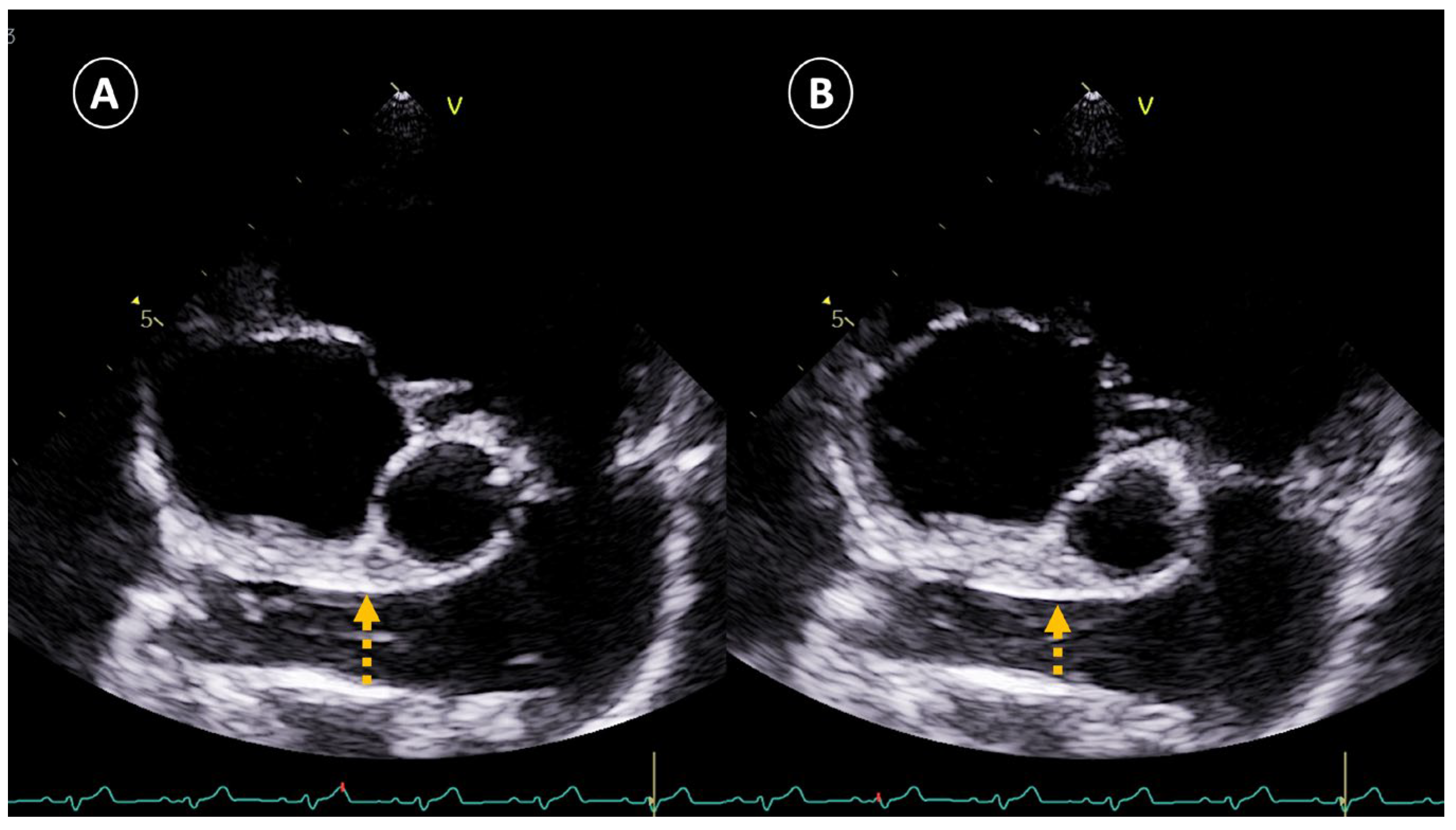 Vetsci 12 00246 g001