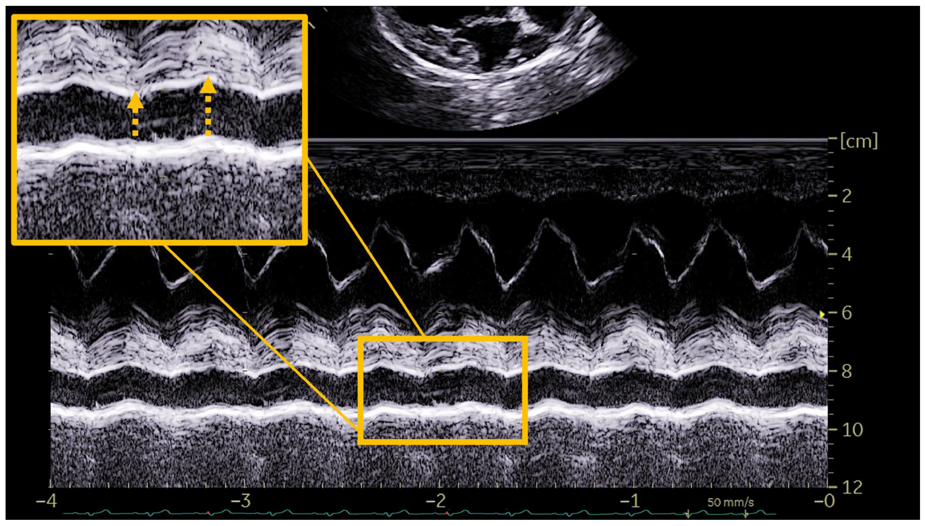Vetsci 12 00246 g002