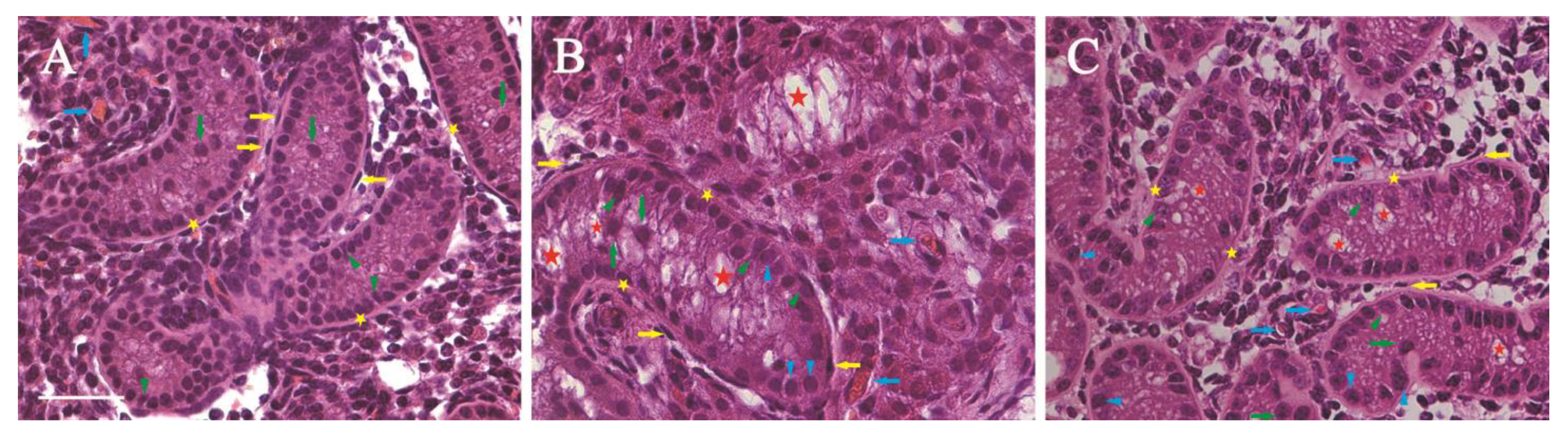 Vetsci 12 00247 g002