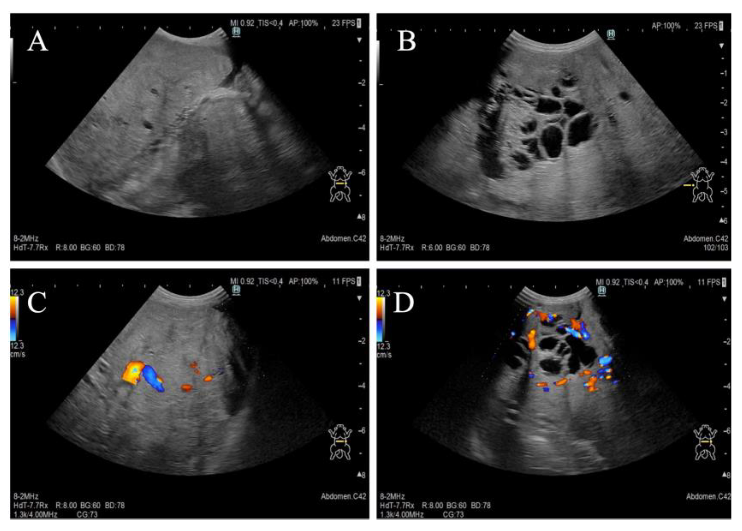 Vetsci 12 00253 g002
