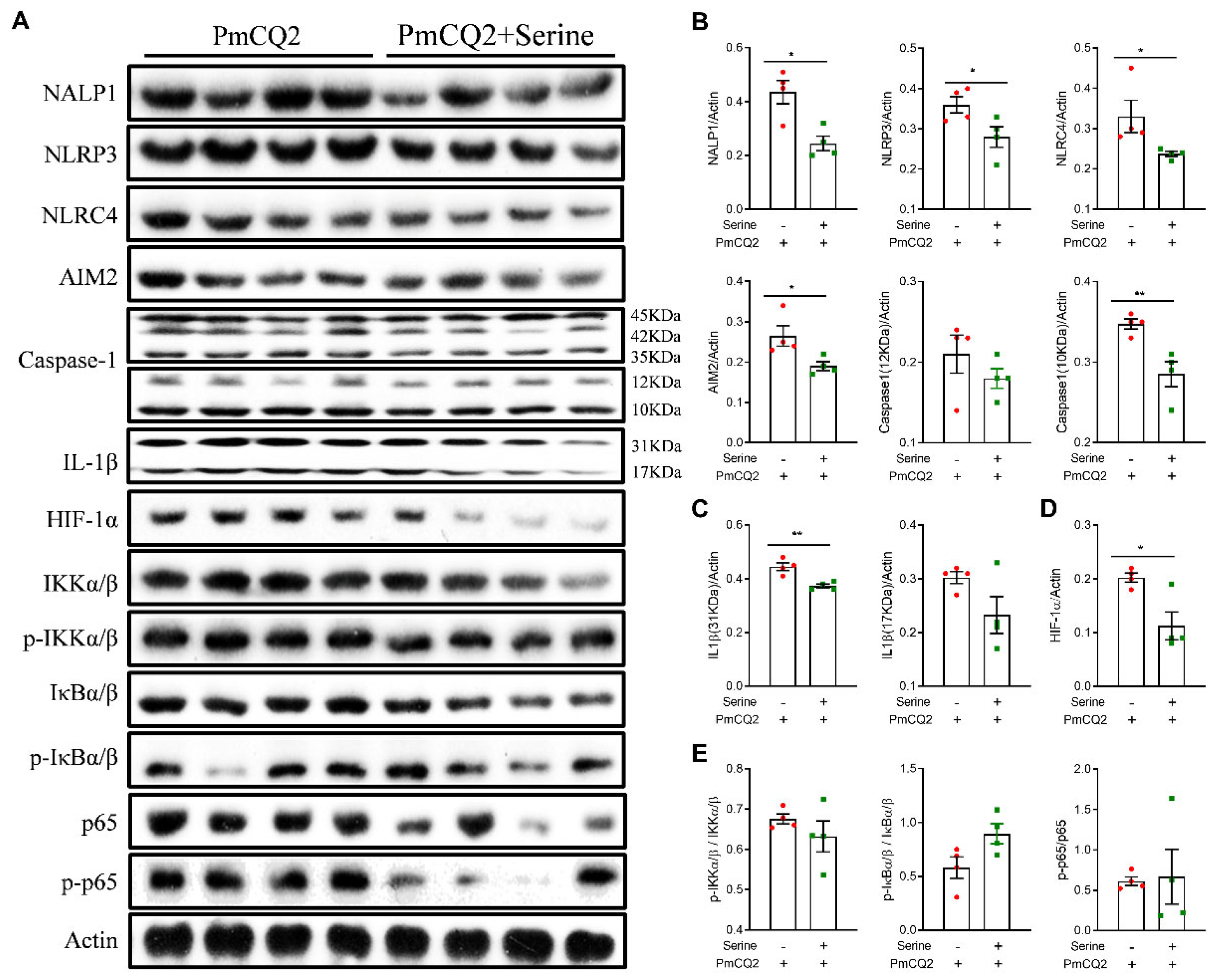 Vetsci 12 00254 g003