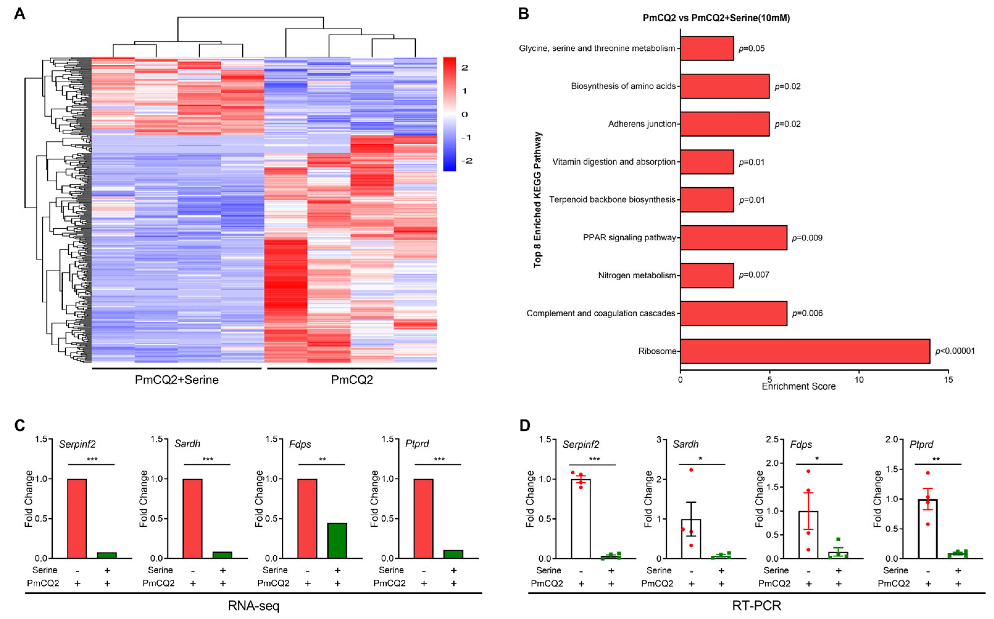 Vetsci 12 00254 g004