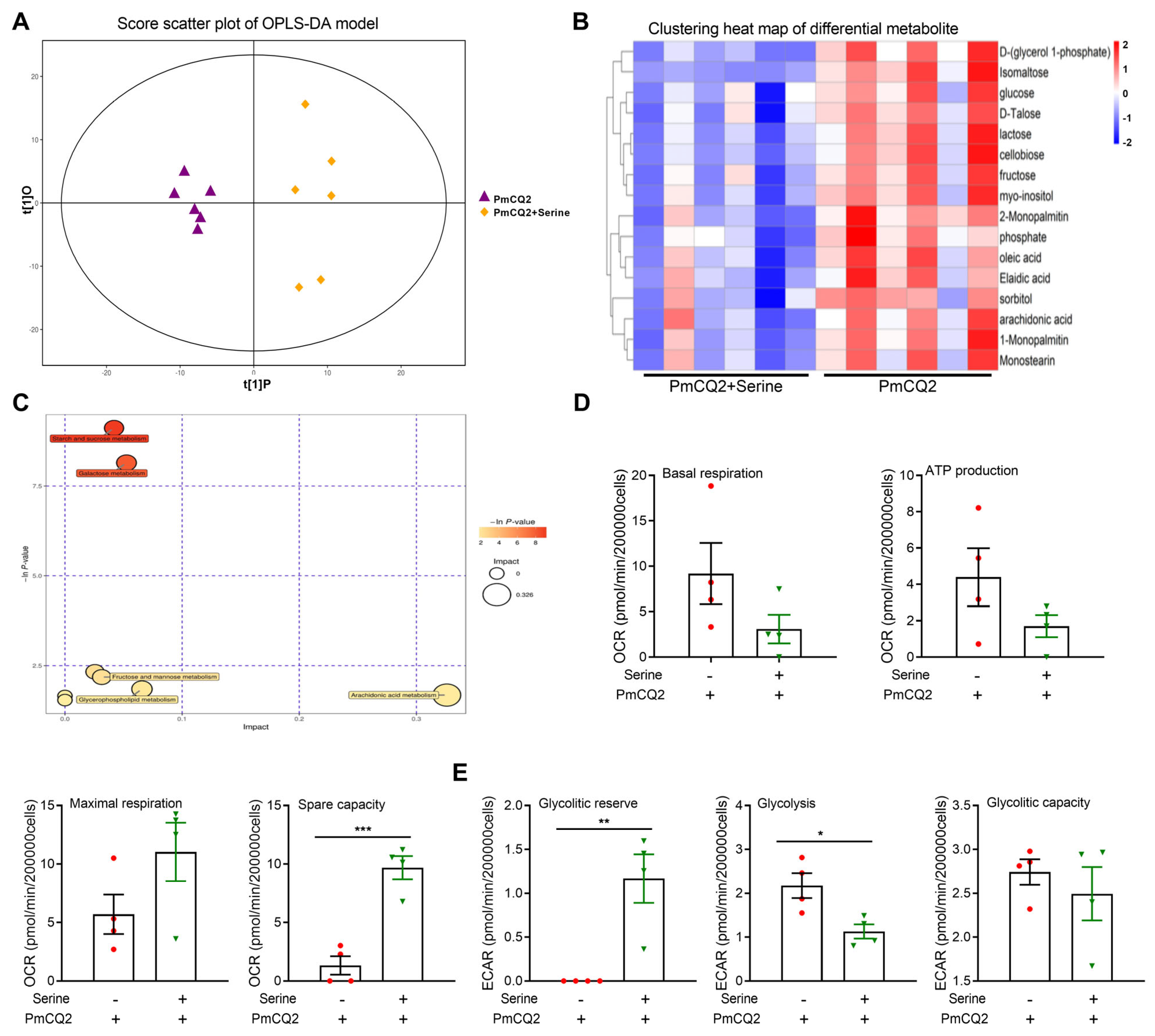 Vetsci 12 00254 g005