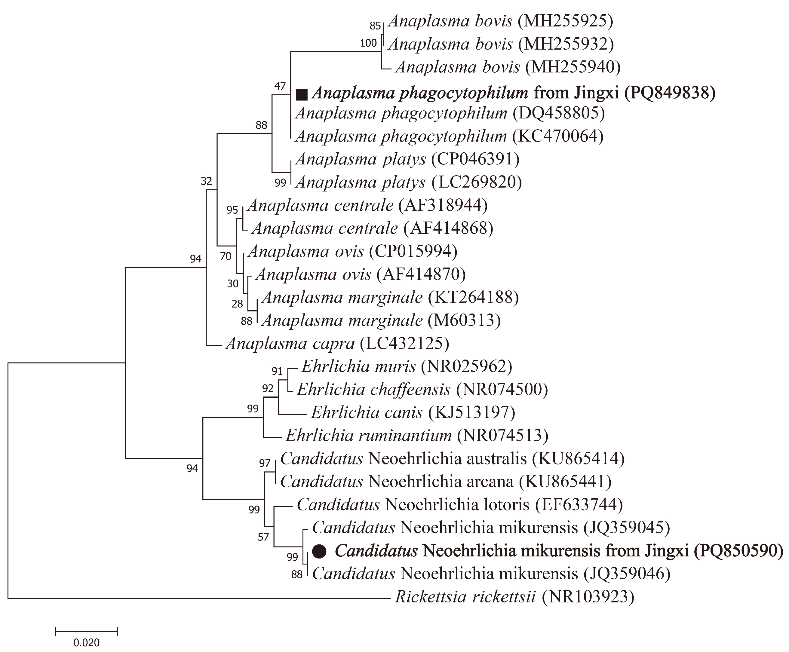 Vetsci 12 00256 g003