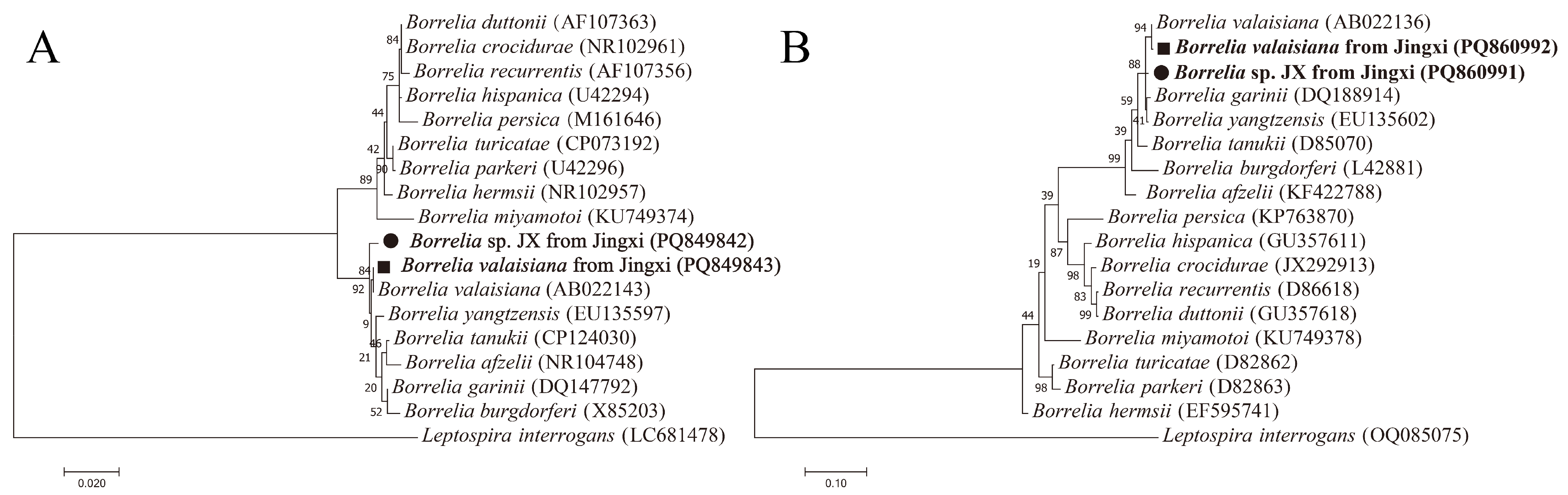 Vetsci 12 00256 g004