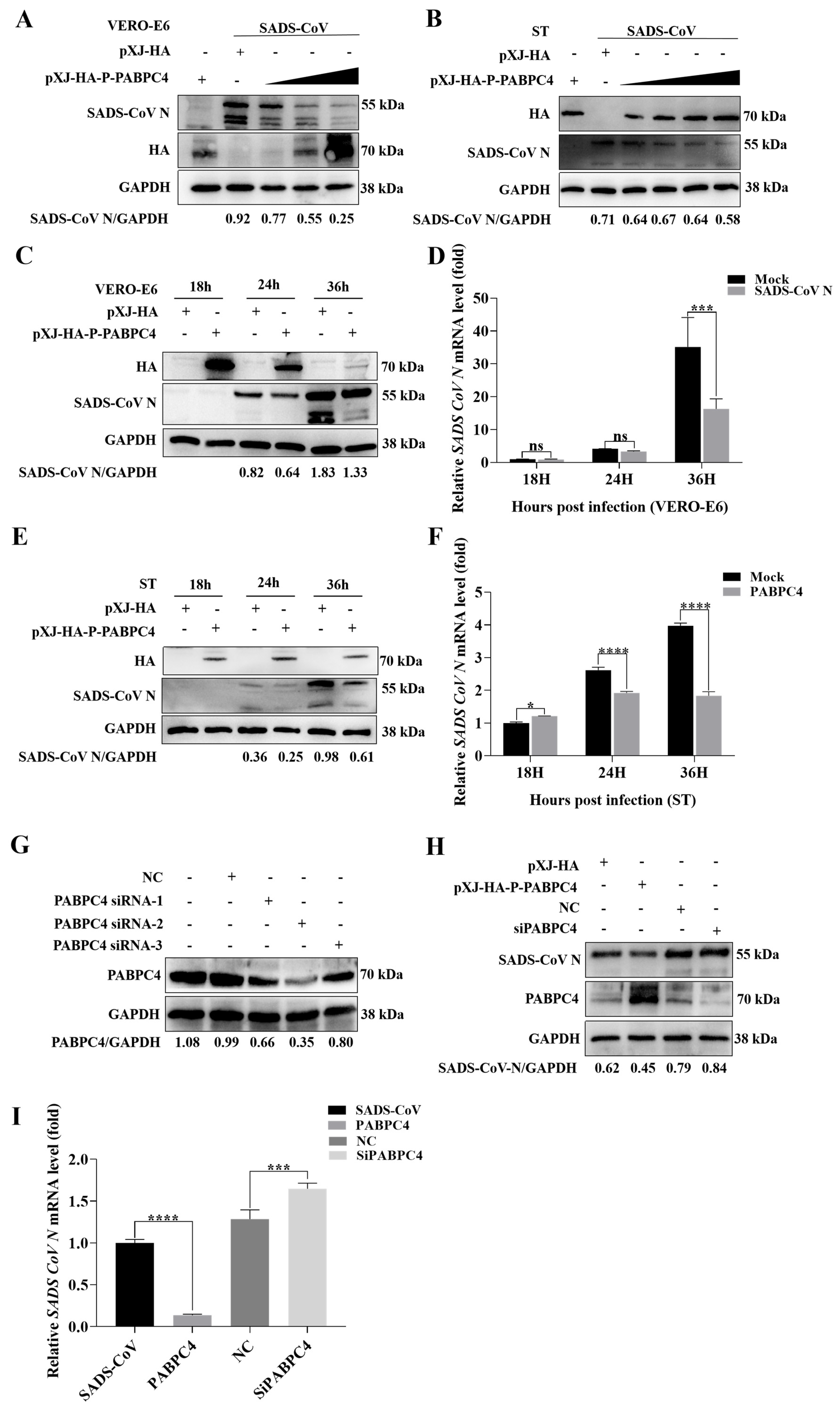 Vetsci 12 00257 g002