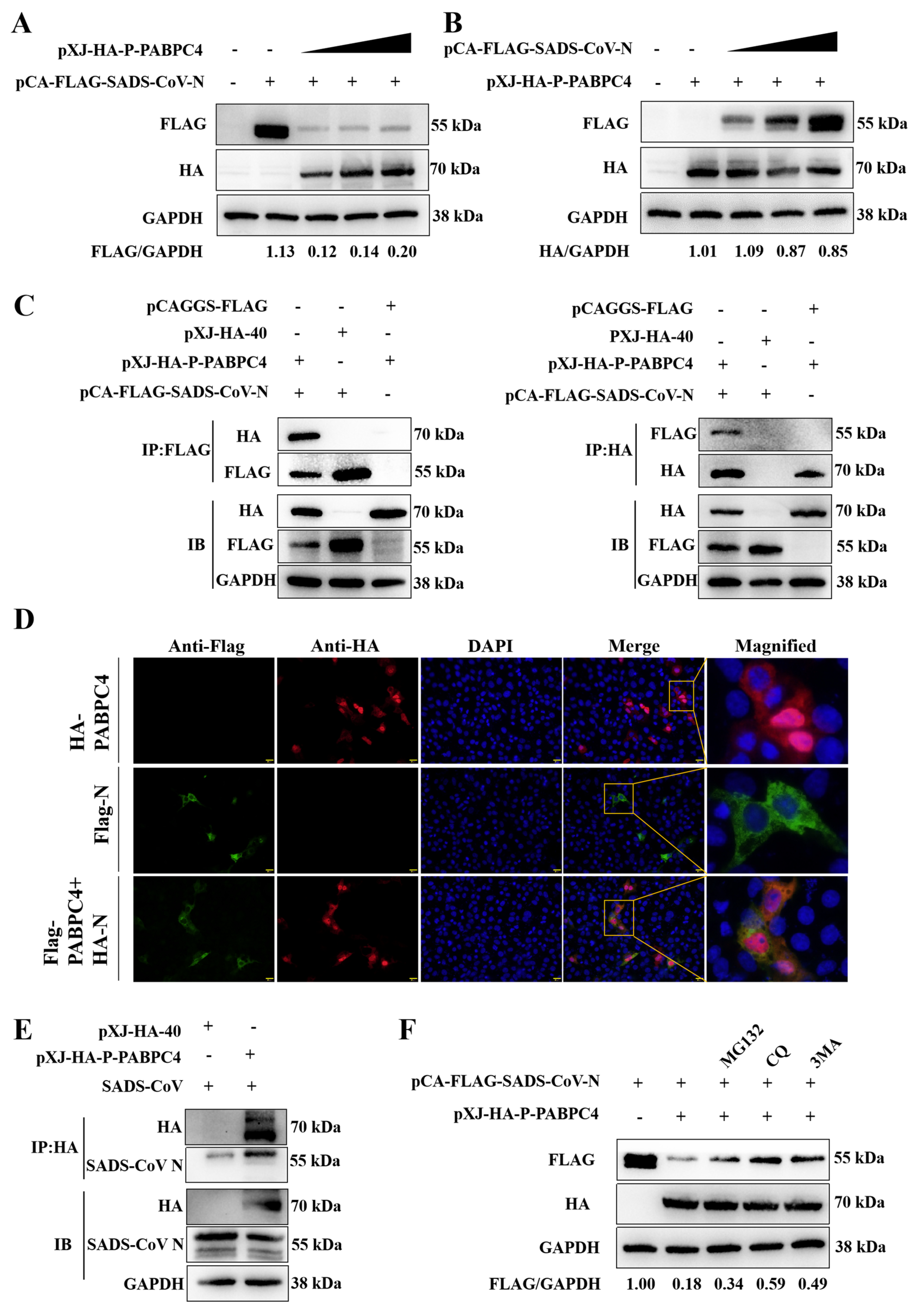 Vetsci 12 00257 g003