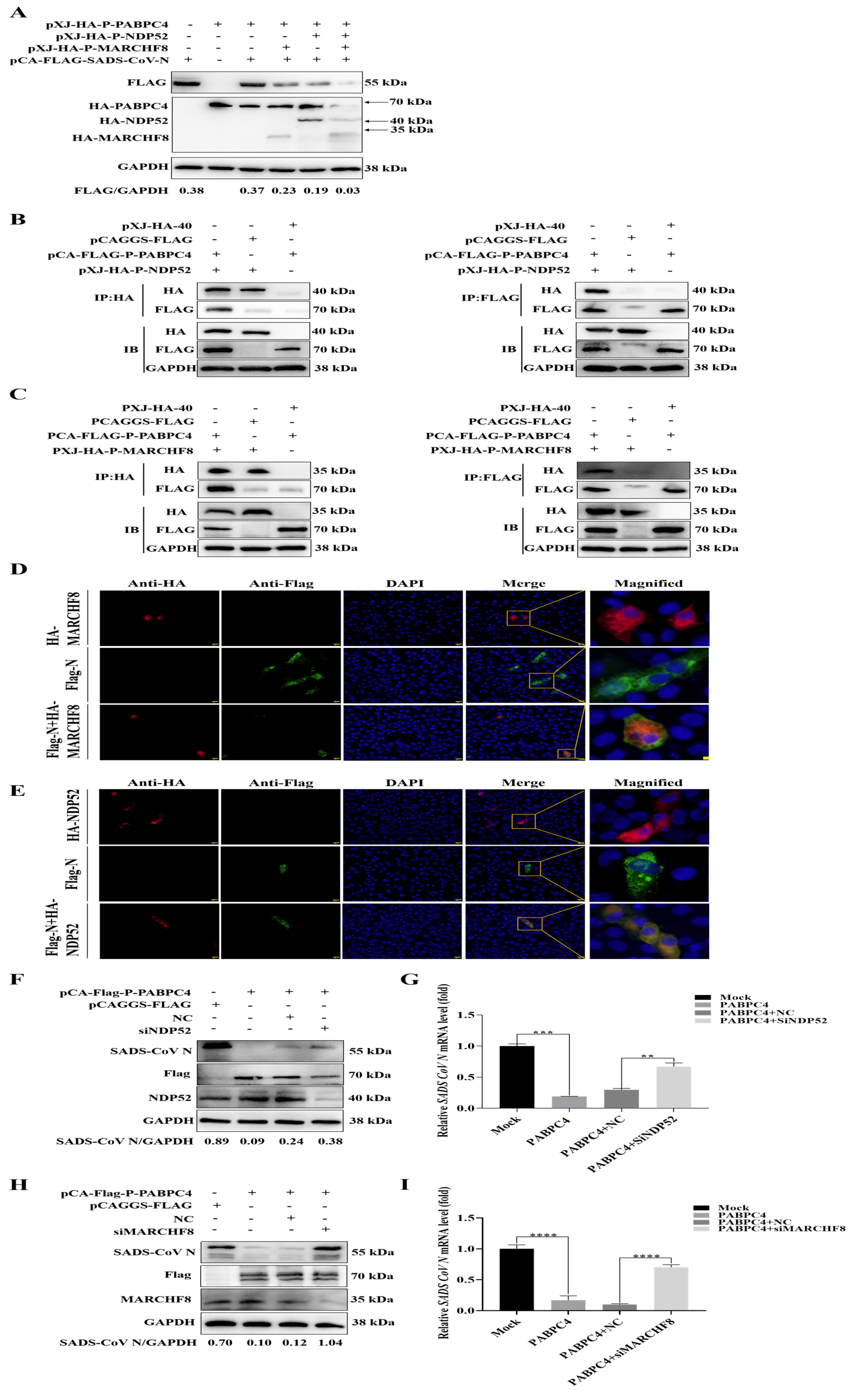 Vetsci 12 00257 g004