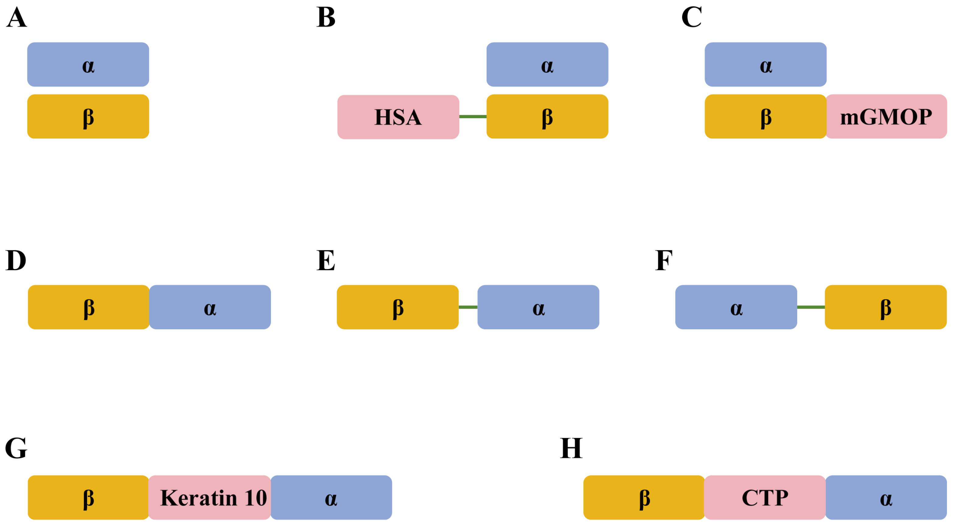 Vetsci 12 00264 g001