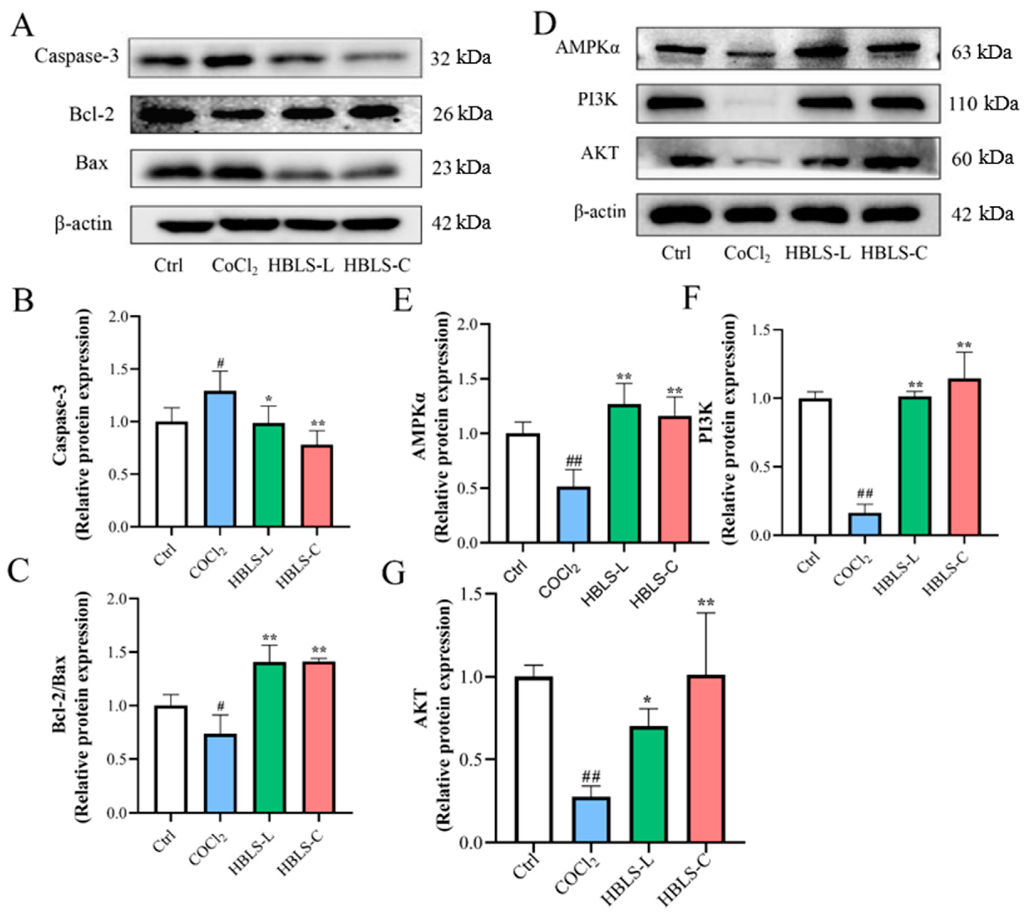 Vetsci 12 00267 g006