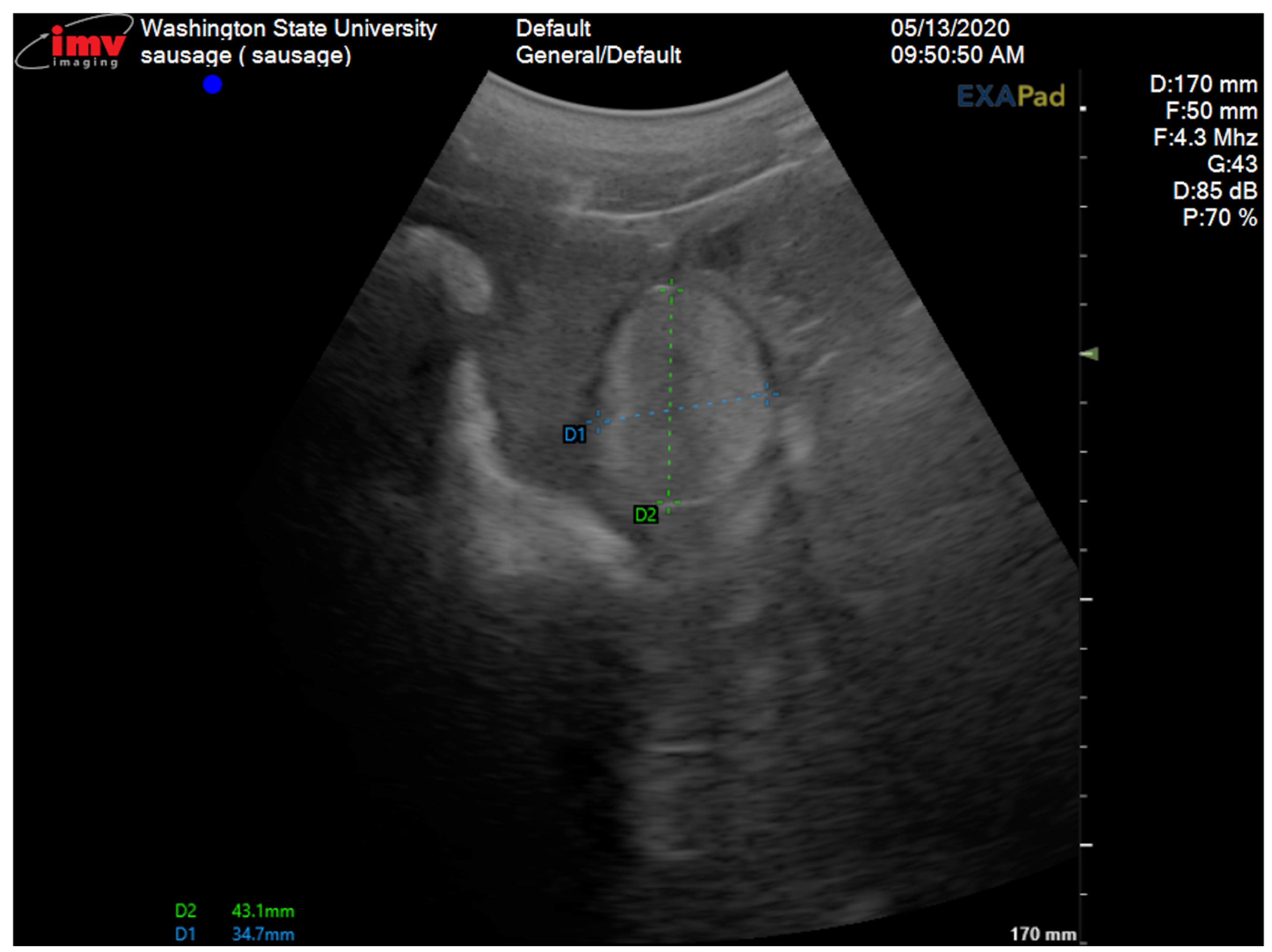 Vetsci 12 00268 g002 Vetsci 12 00268 g002
