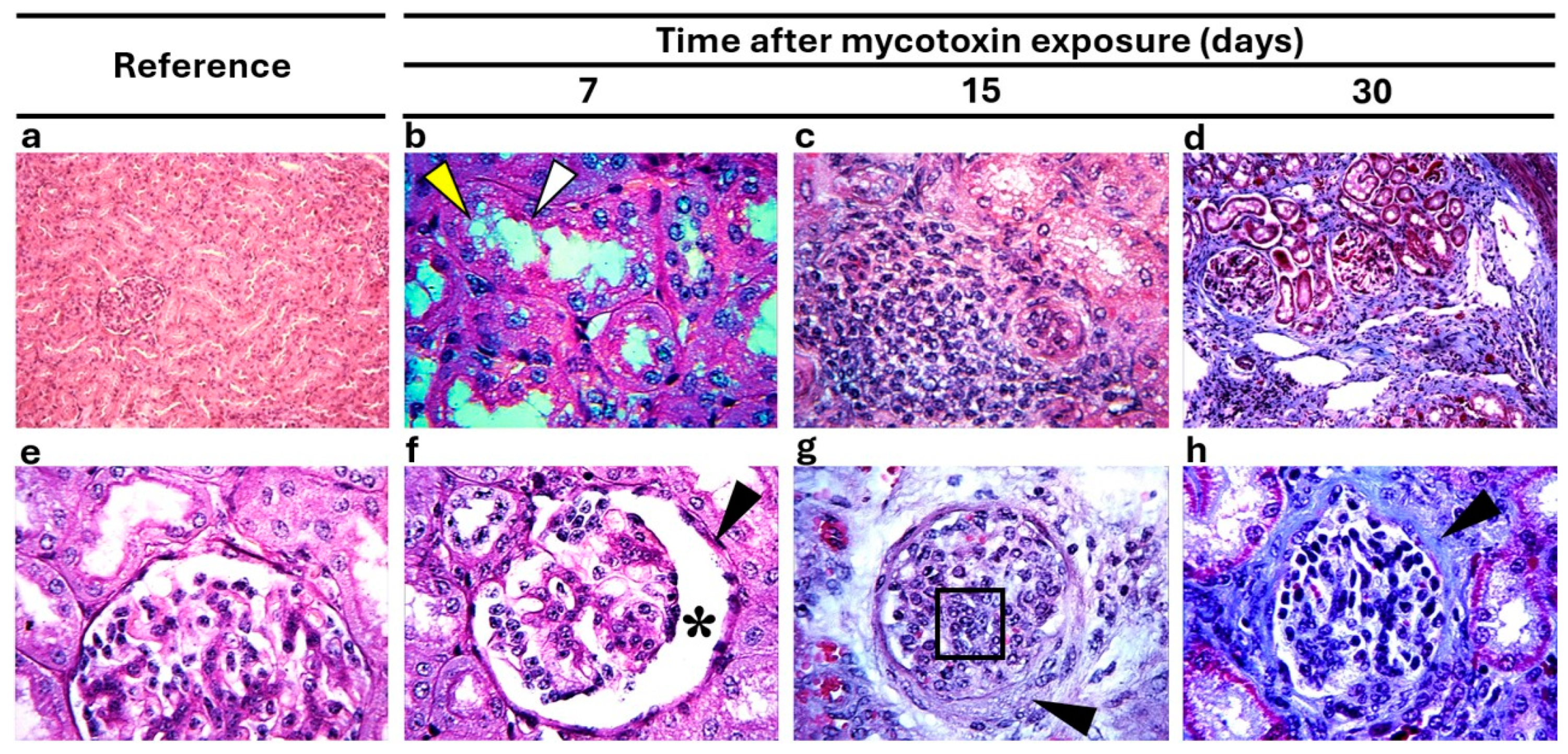 Vetsci 12 00273 g003