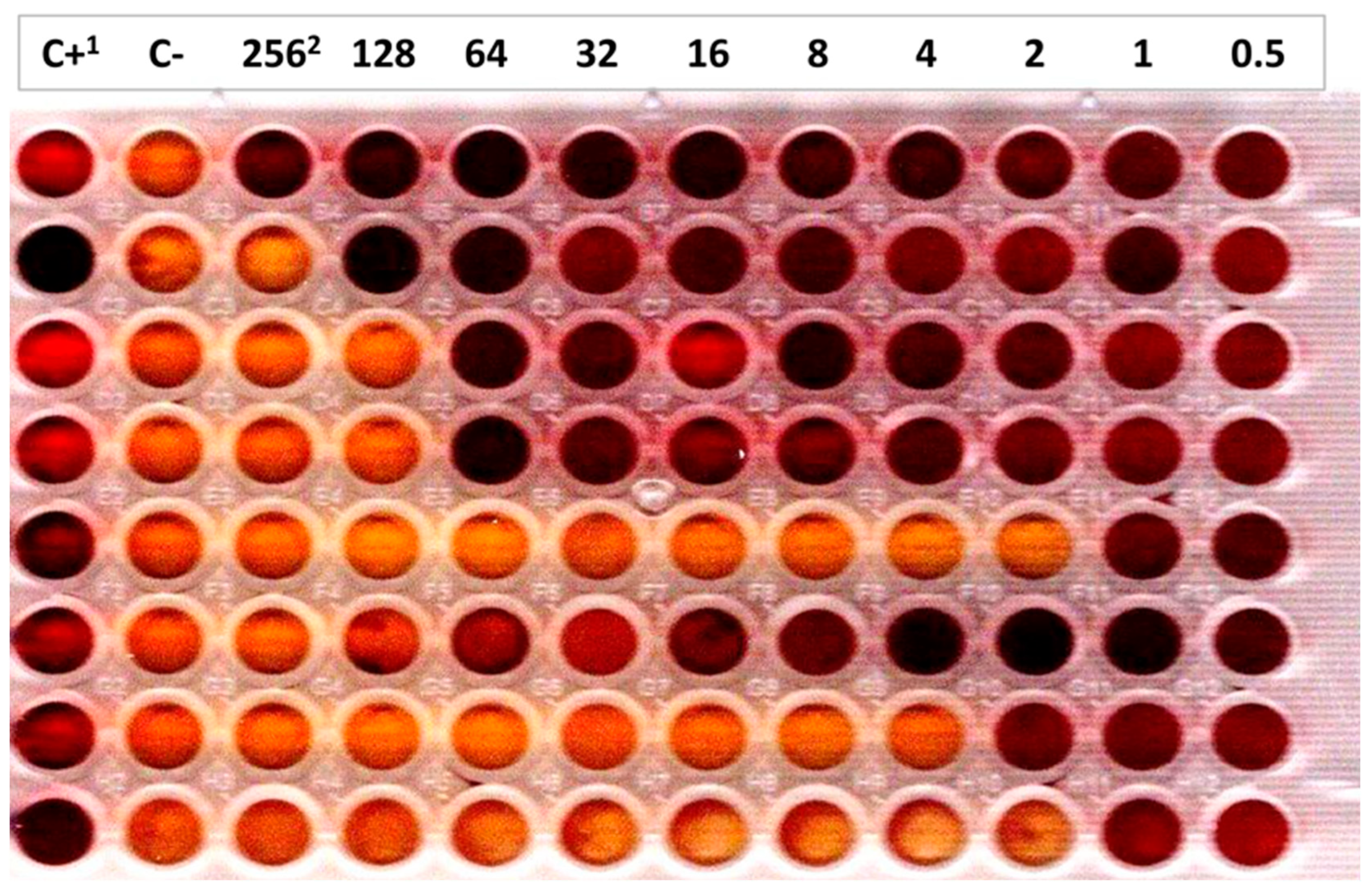 Vetsci 12 00274 g001