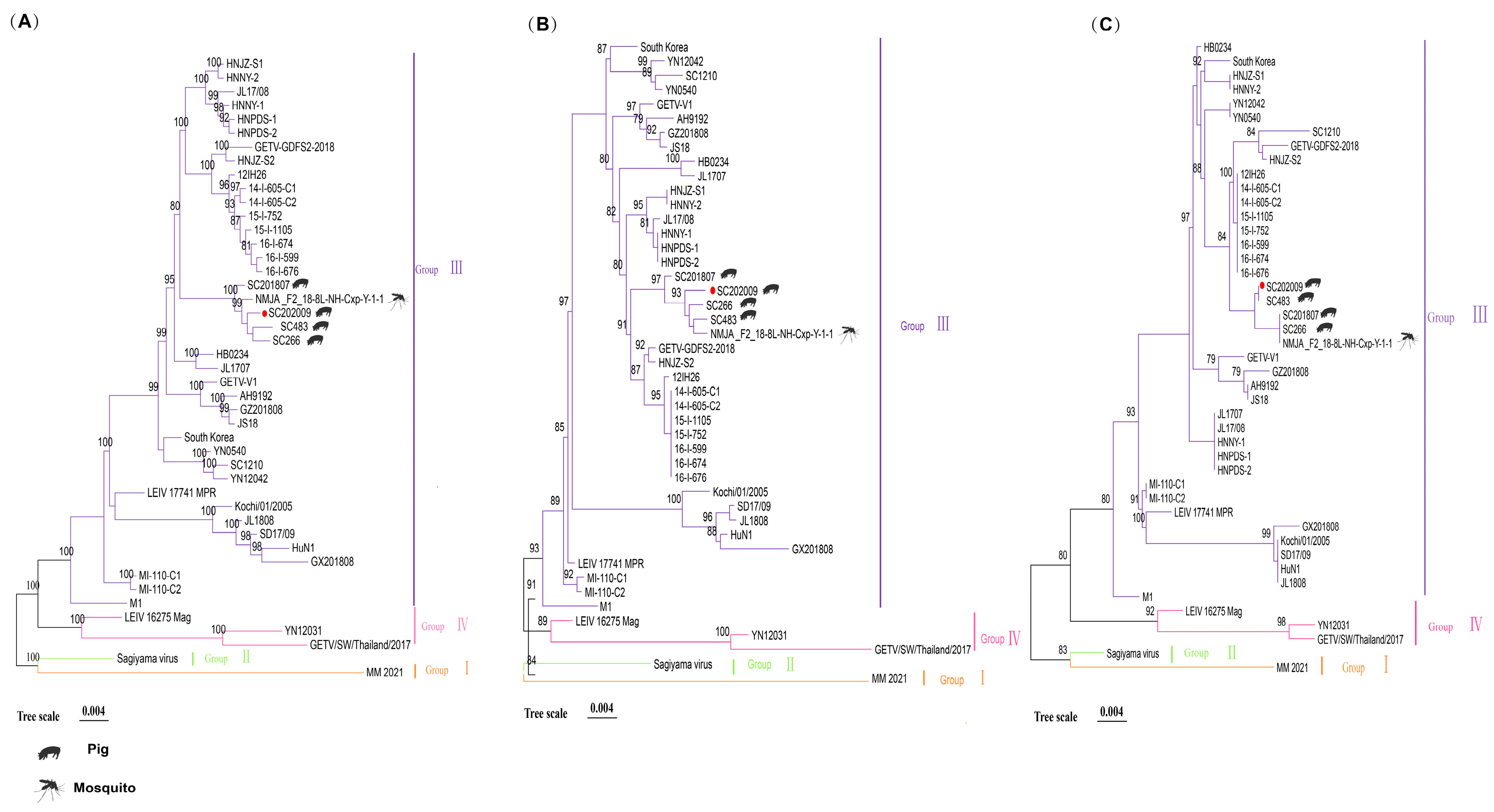 Vetsci 12 00276 g005