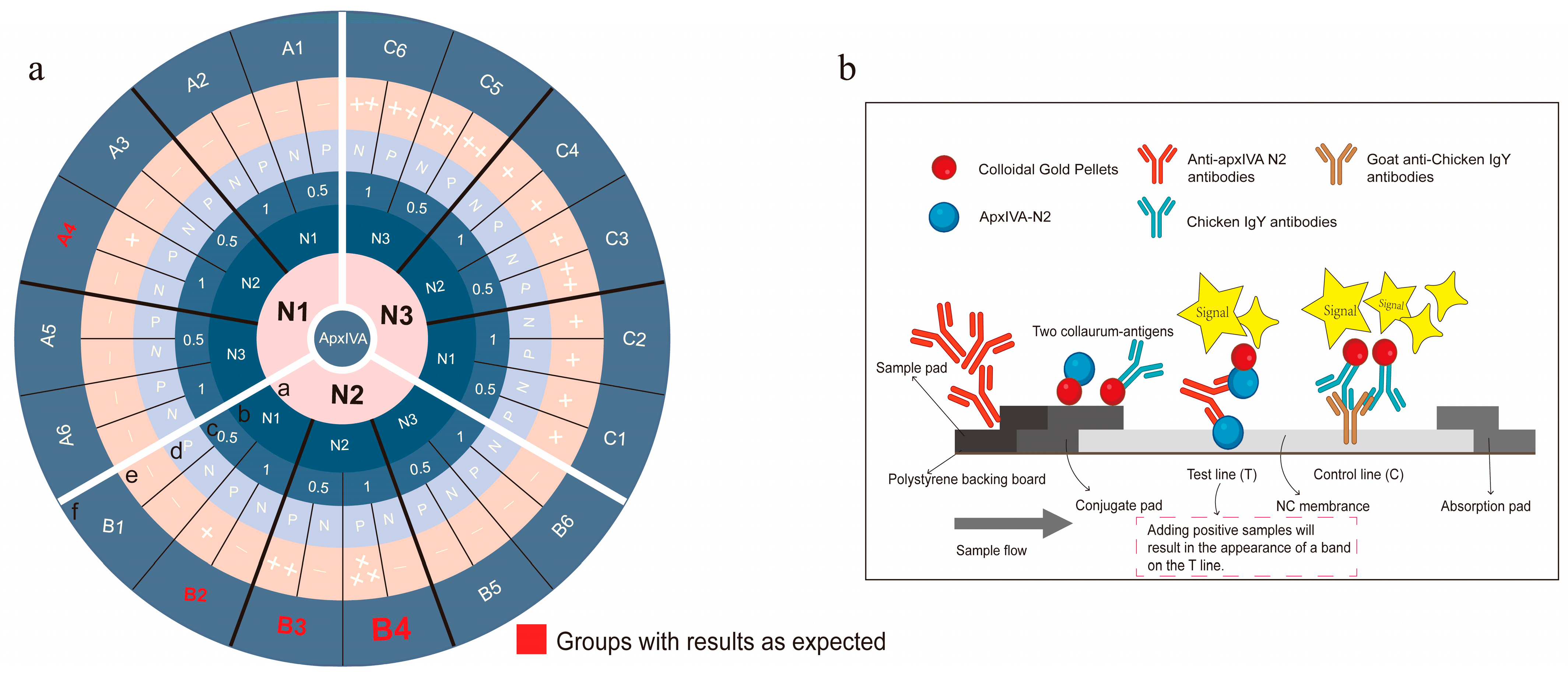 Vetsci 12 00278 g003