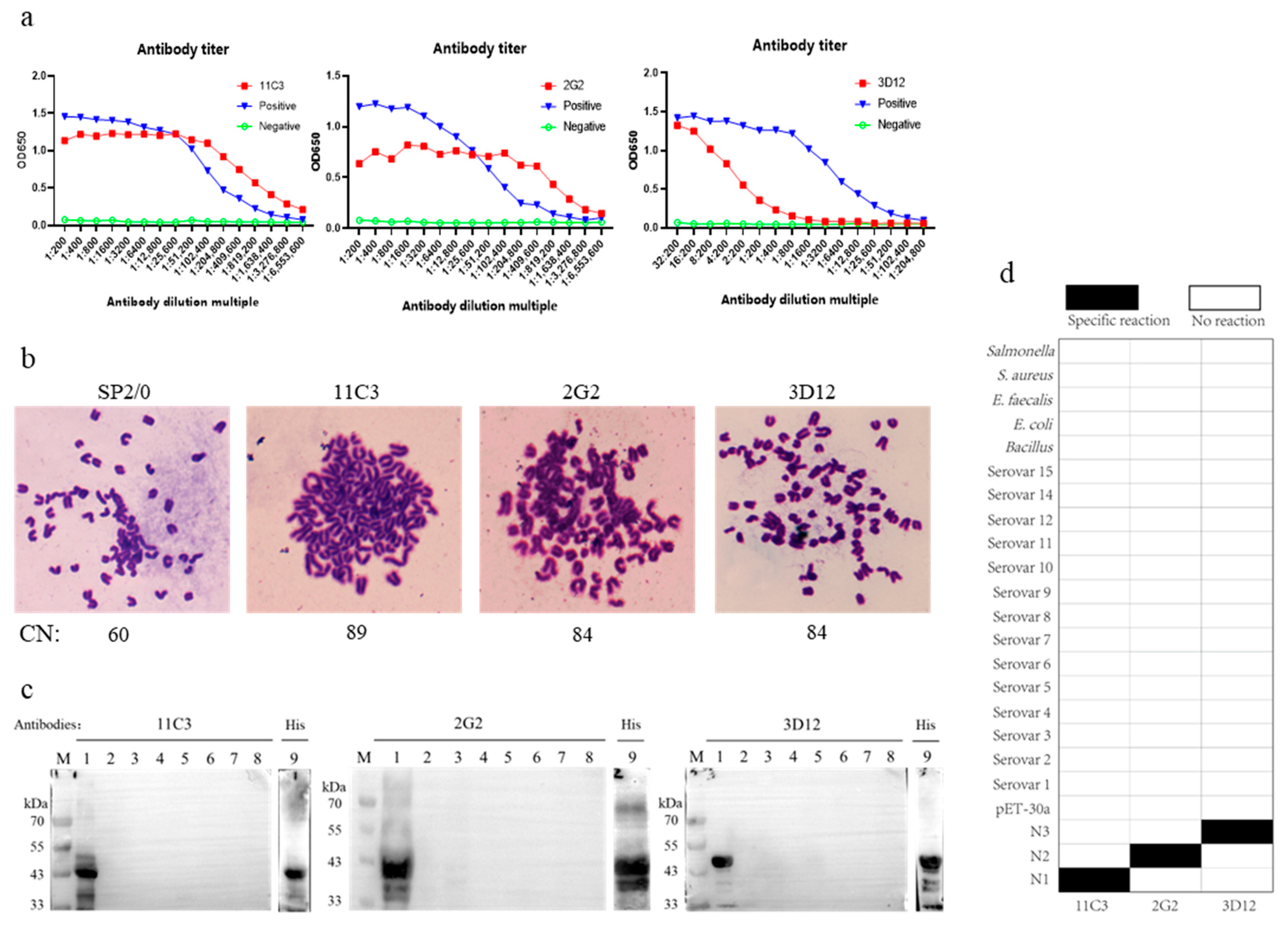 Vetsci 12 00278 g004